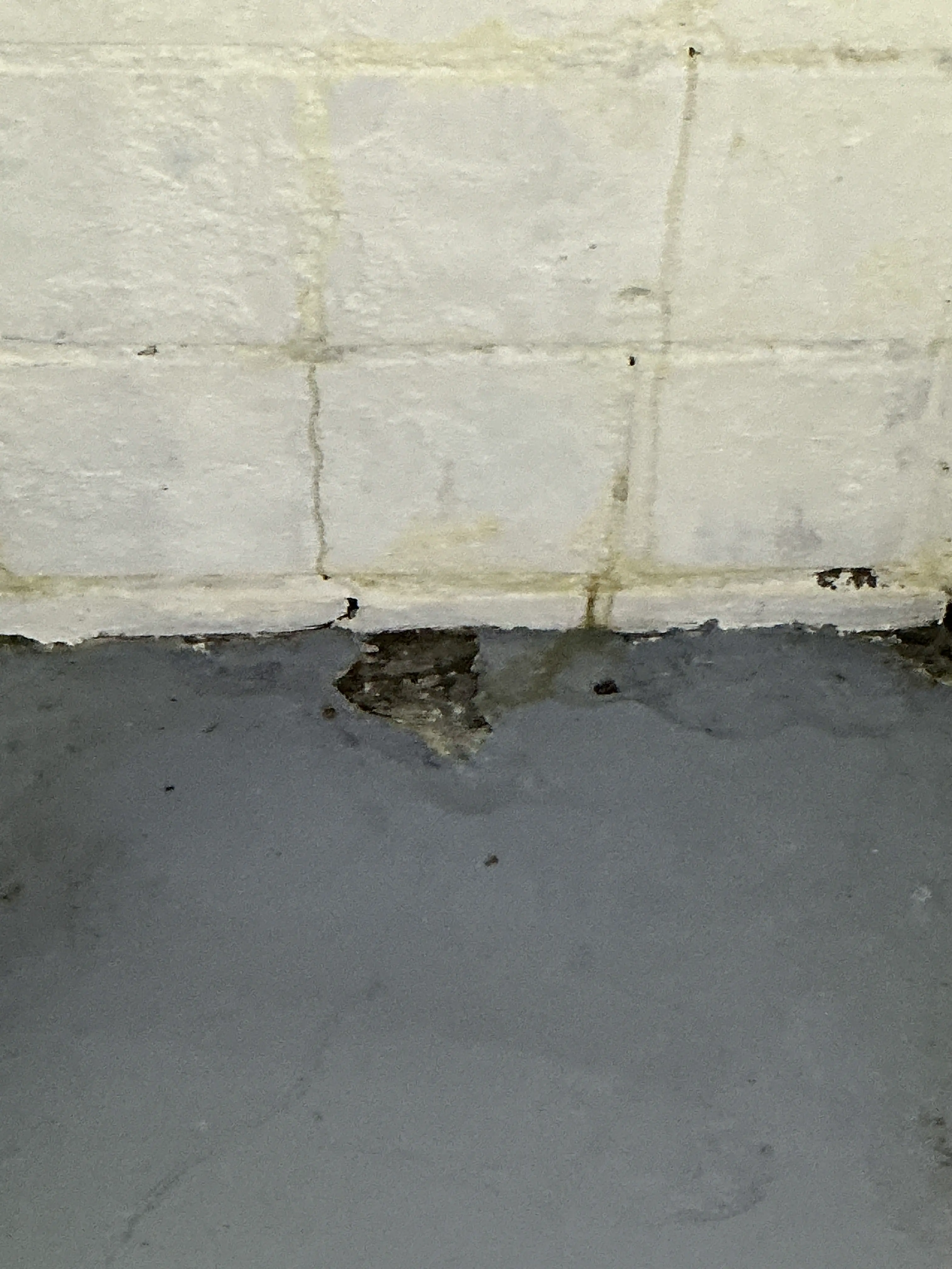 Close-up of damaged grout and missing sealant along a tiled surface edge during a general inspection. 2026-07-25