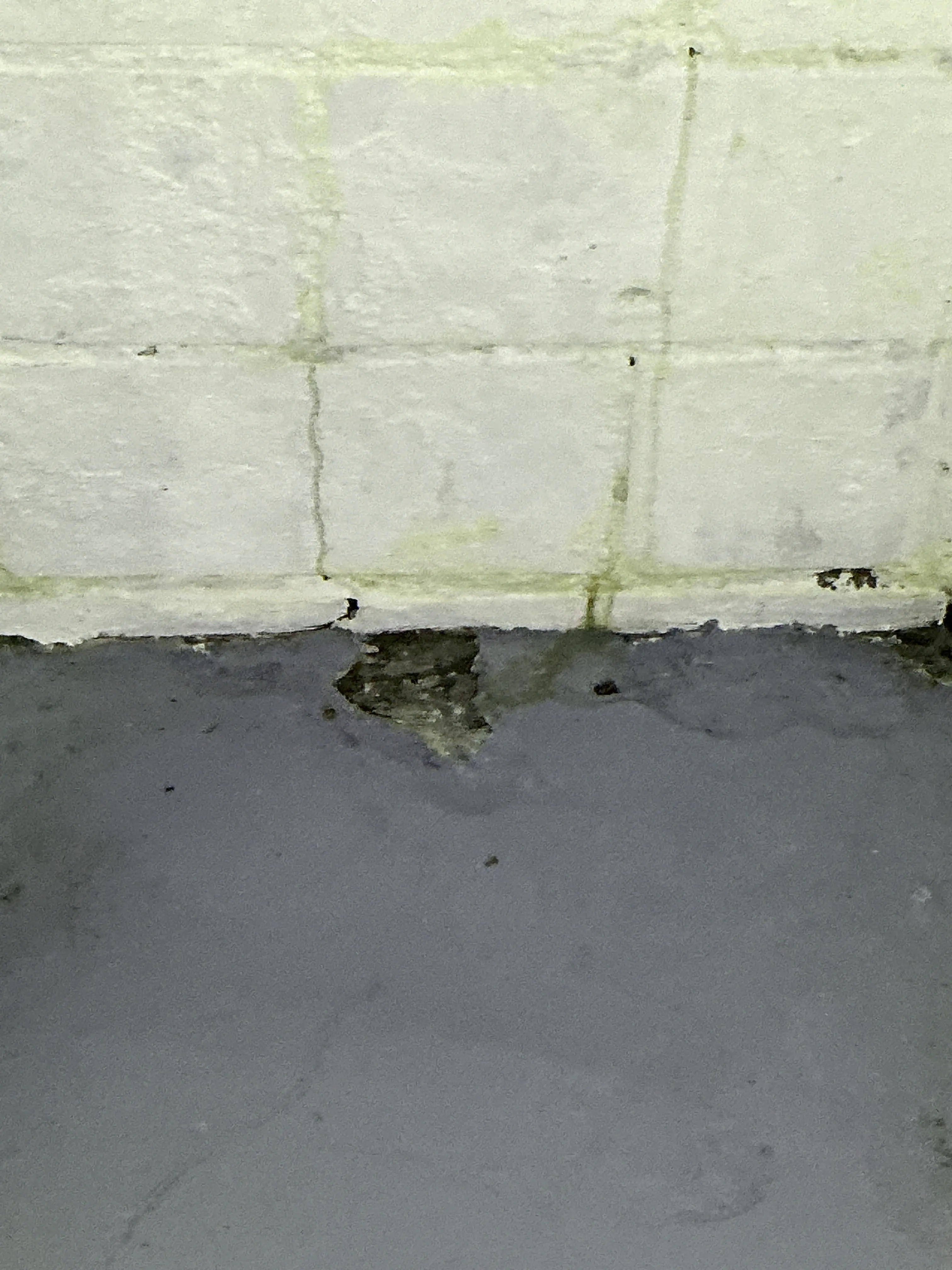 Close-up of damaged grout and missing sealant along a tiled surface edge during a home inspection. 2026-08-19