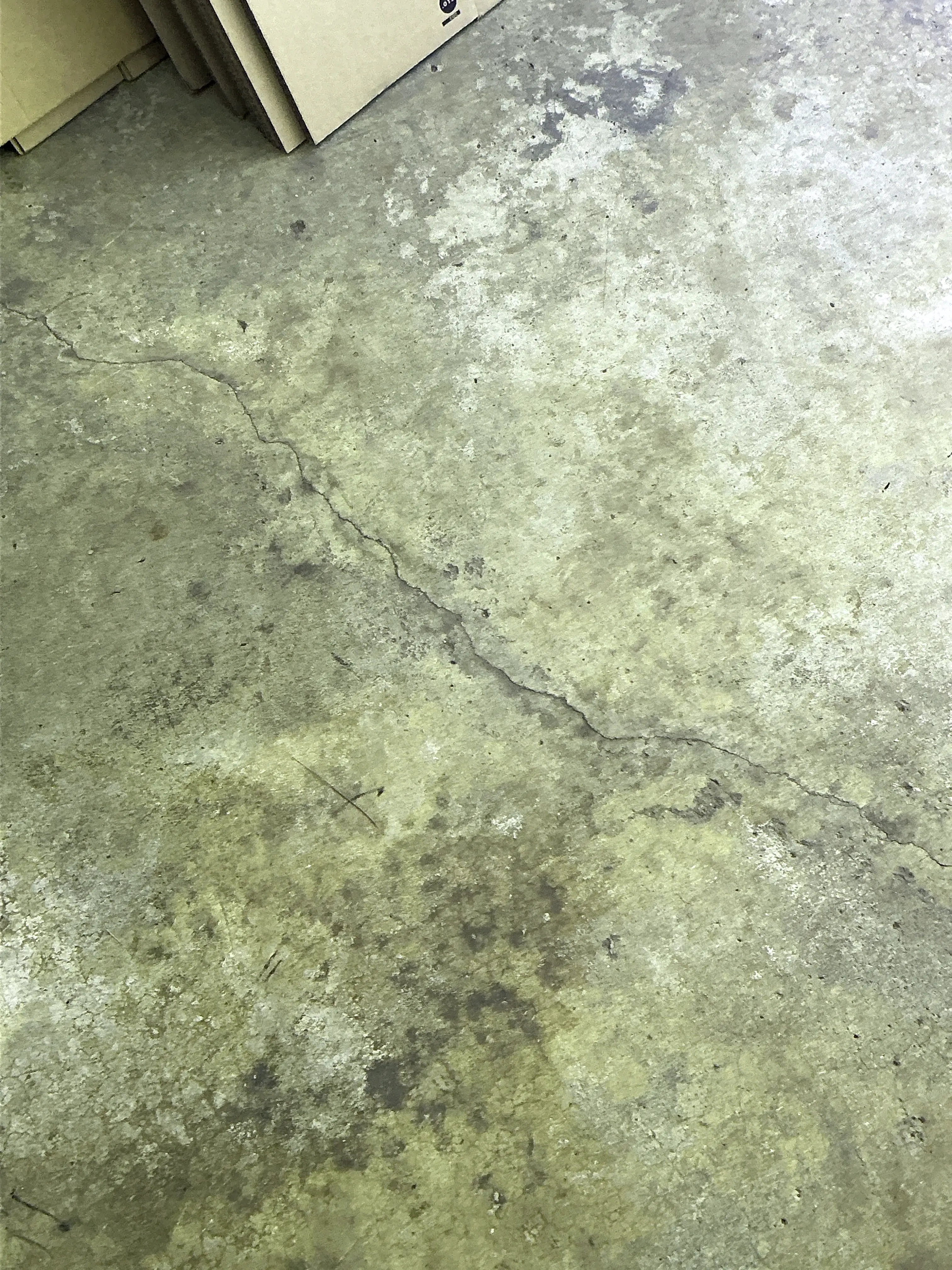 Visible crack in a concrete floor slab during a mold inspection 2026-07-09
