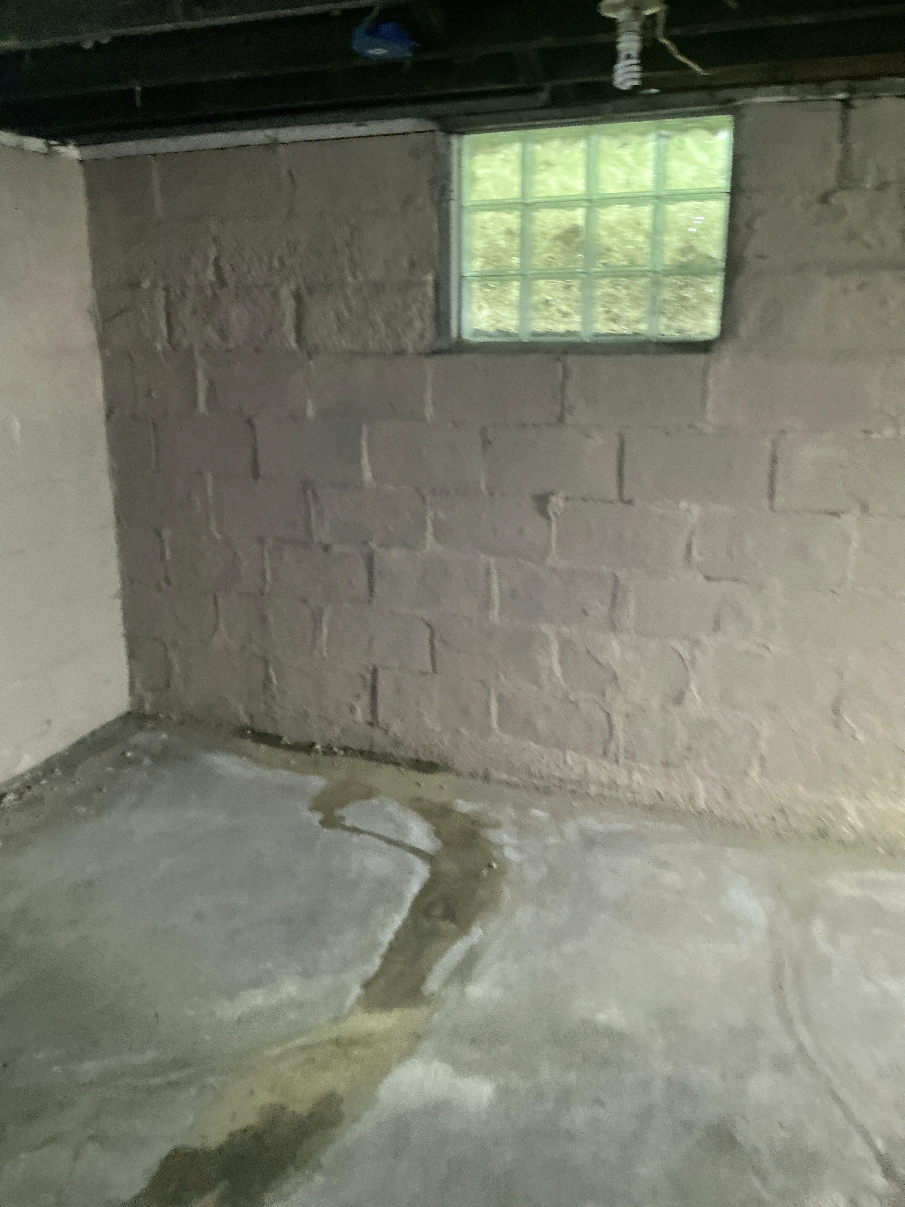 Unfinished basement masonry wall with glass block window and signs of moisture intrusion and crack repair 2026-08-12