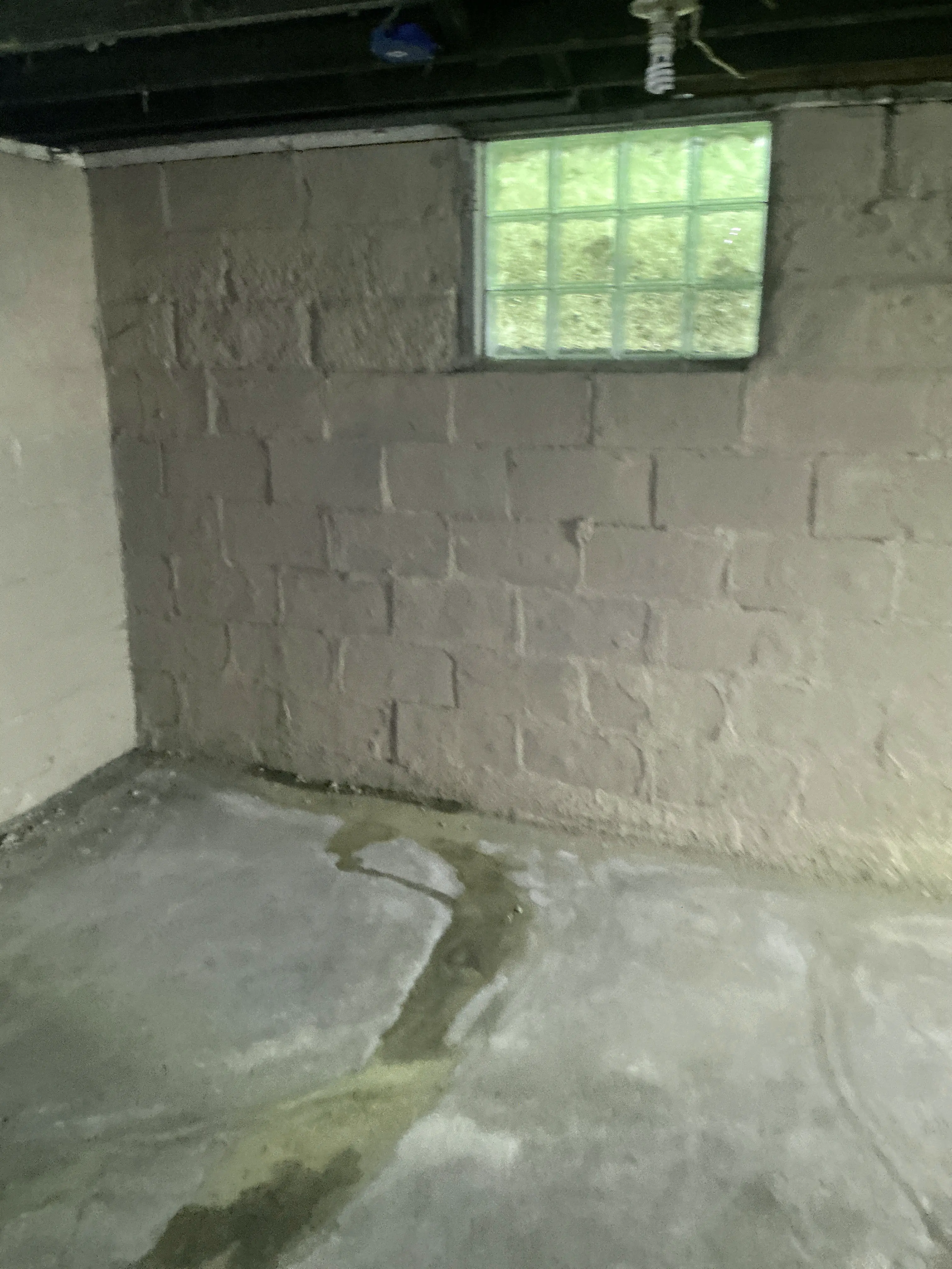 Unfinished basement masonry wall with glass block window and signs of moisture intrusion and crack repair 2026-08-02