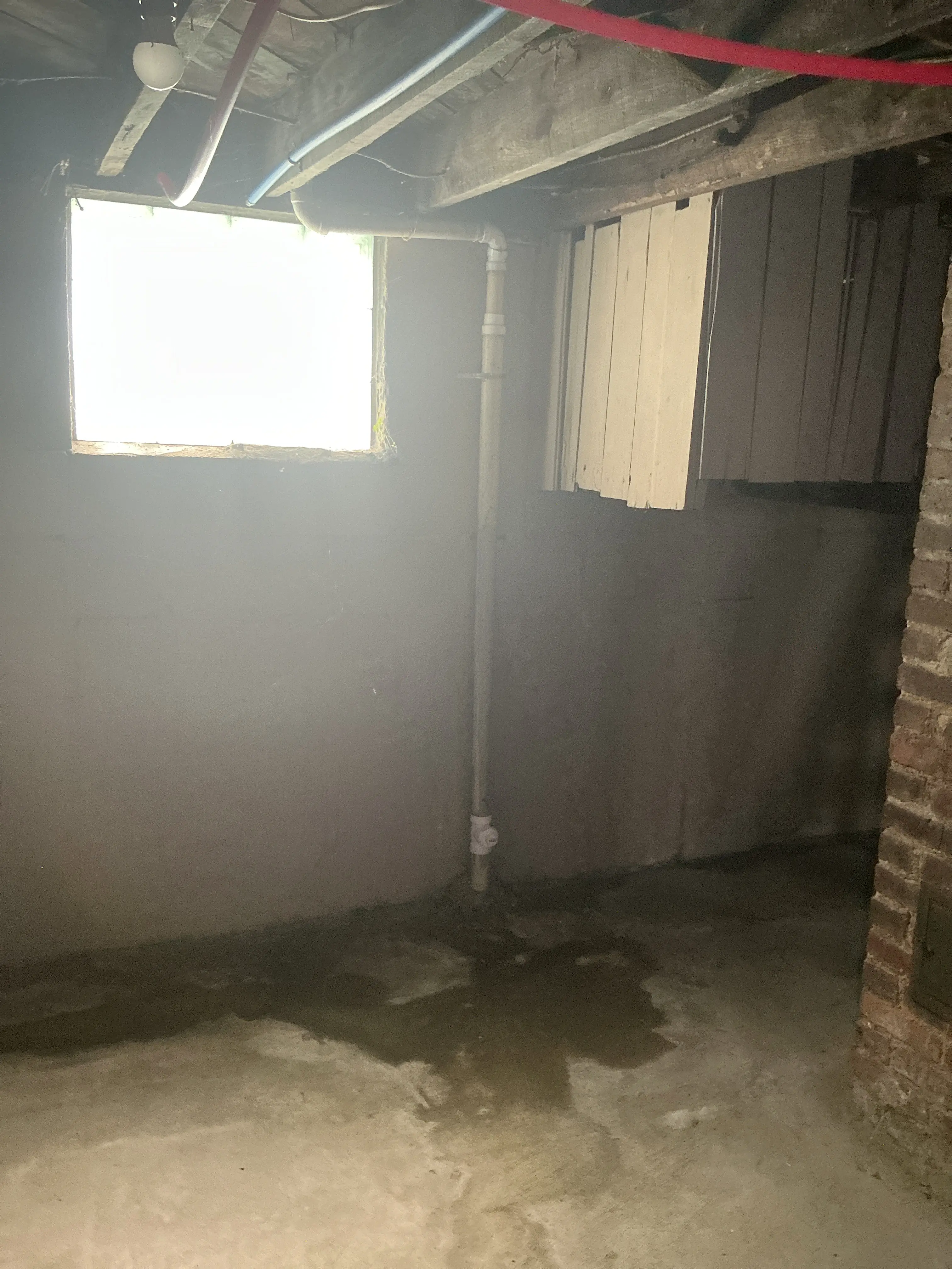 Moisture stain on basement concrete floor near plumbing pipes 2026-08-14