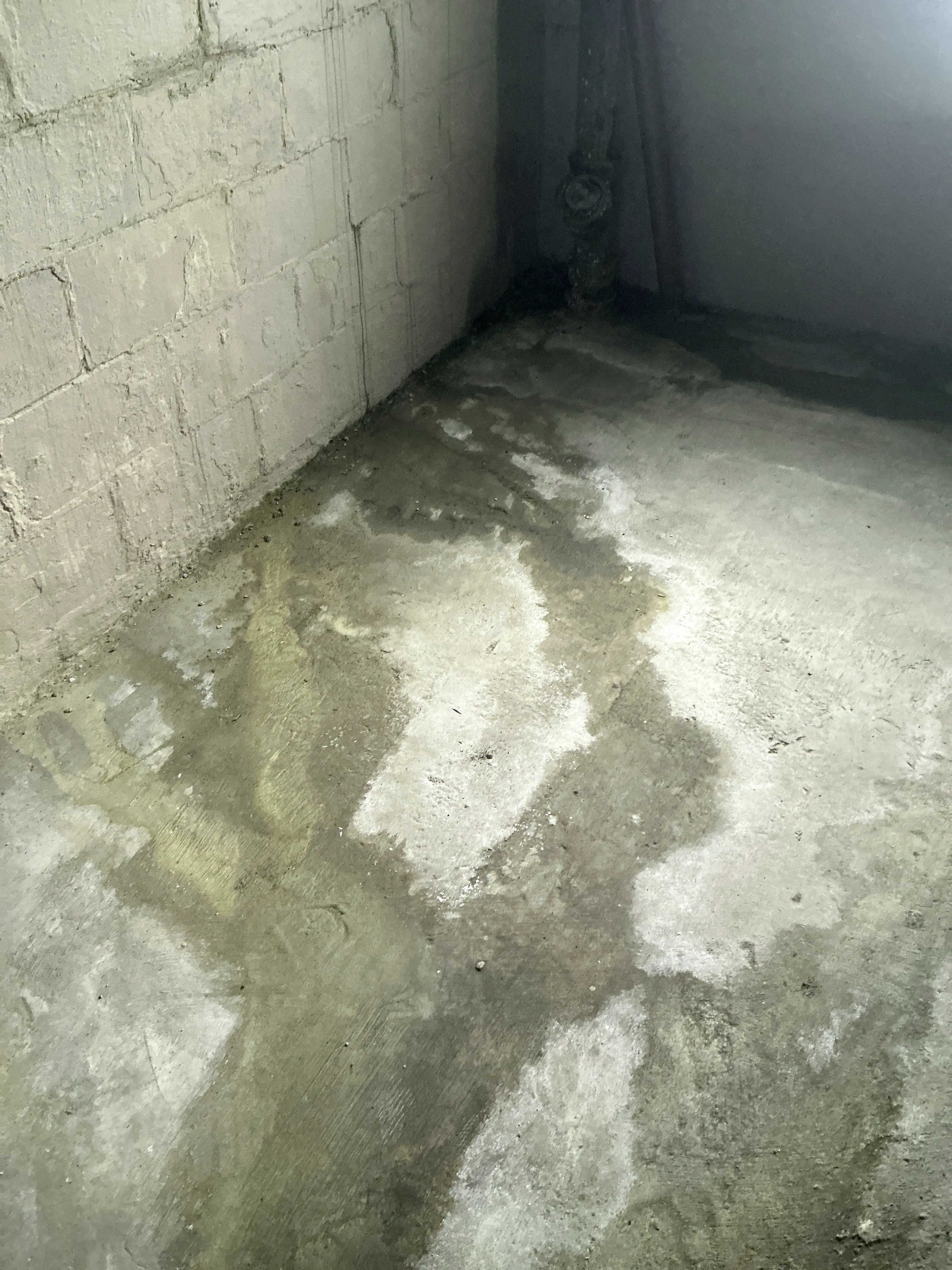 Moisture damage and efflorescence on a concrete basement foundation wall 2026-08-26