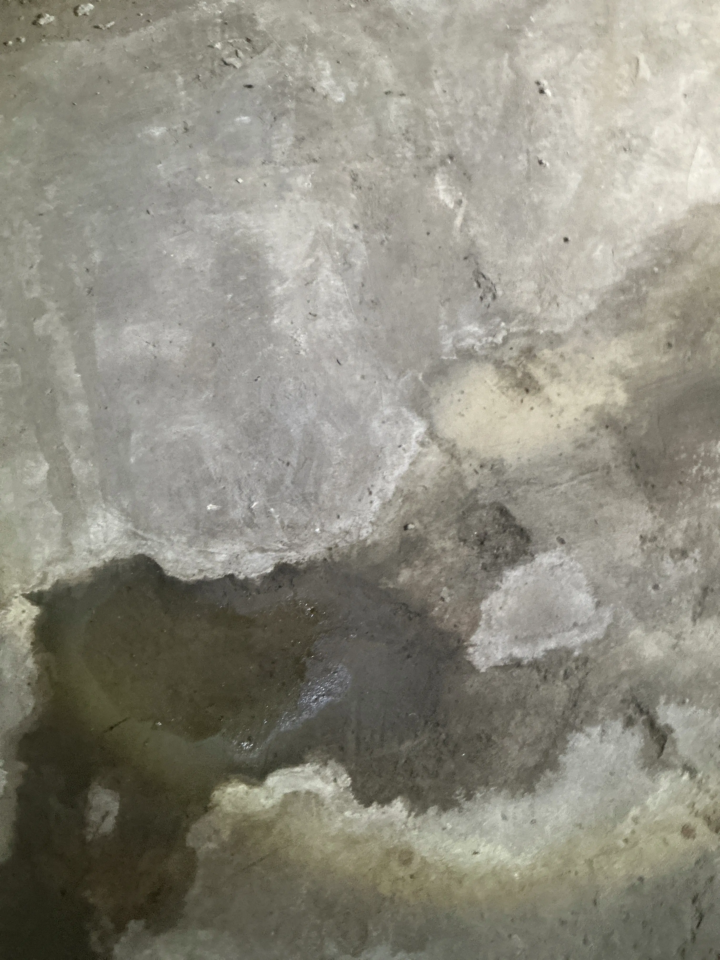 Moisture staining and pooling water on concrete slab foundation floor during home inspection 2026-07-25