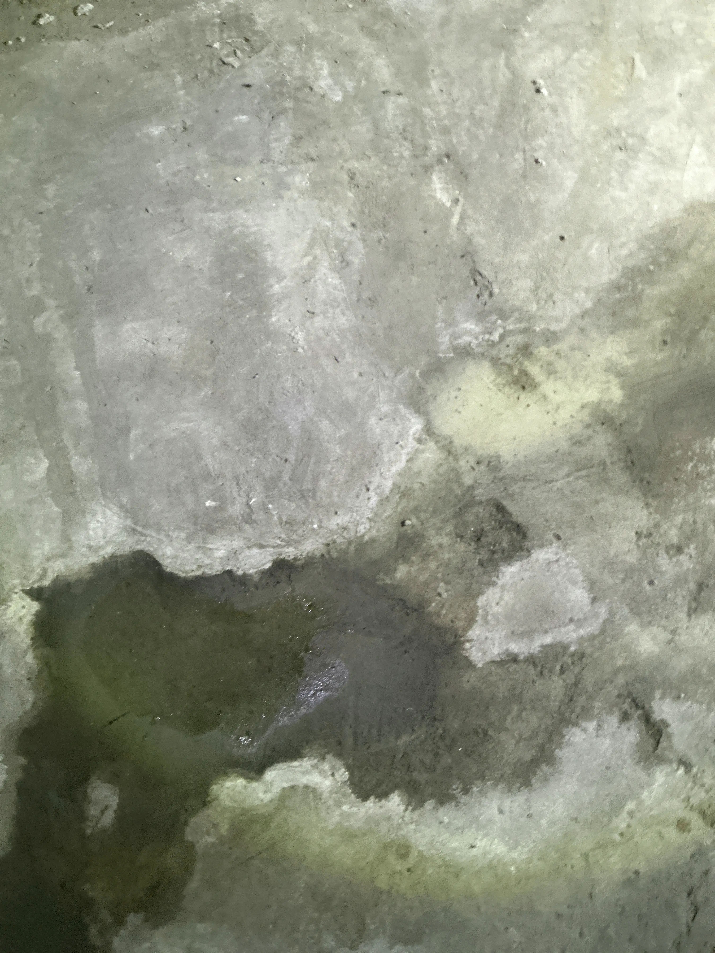 Moisture staining and pooling water on concrete slab foundation floor during home inspection 2026-08-31