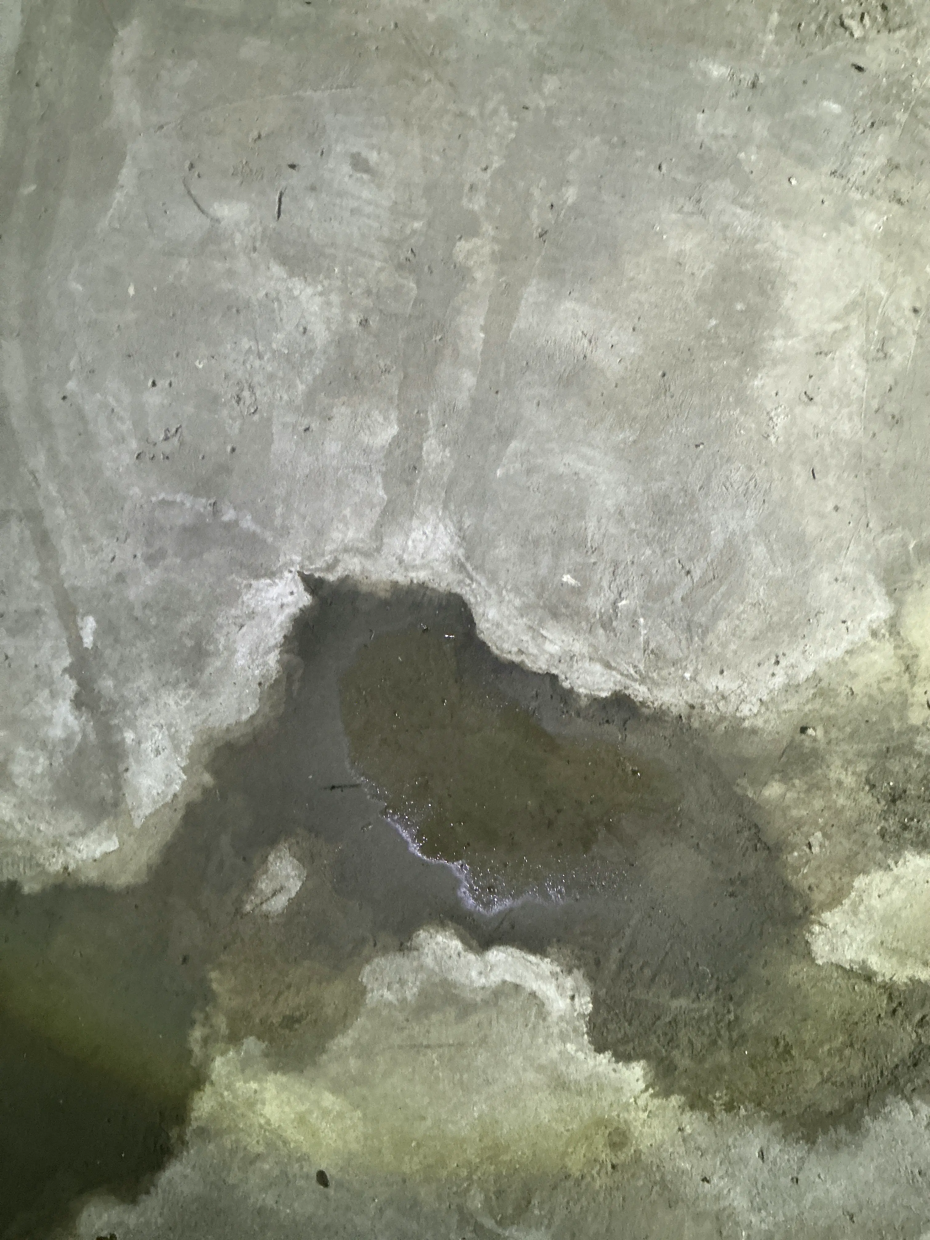 Moisture damage and standing water on a concrete floor during a home inspection 2026-07-18