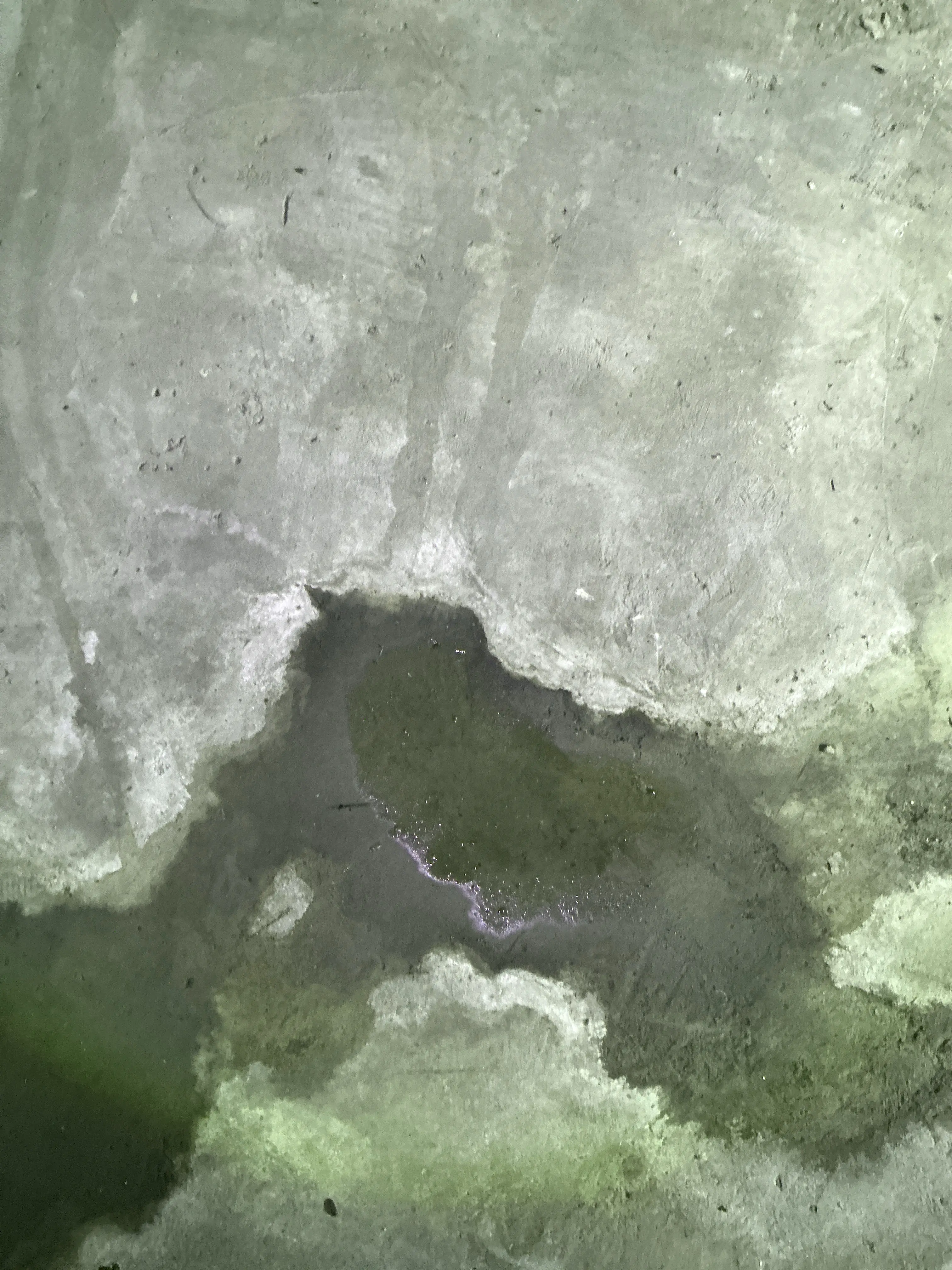Moisture damage and standing water on a concrete floor during a home inspection 2026-08-09