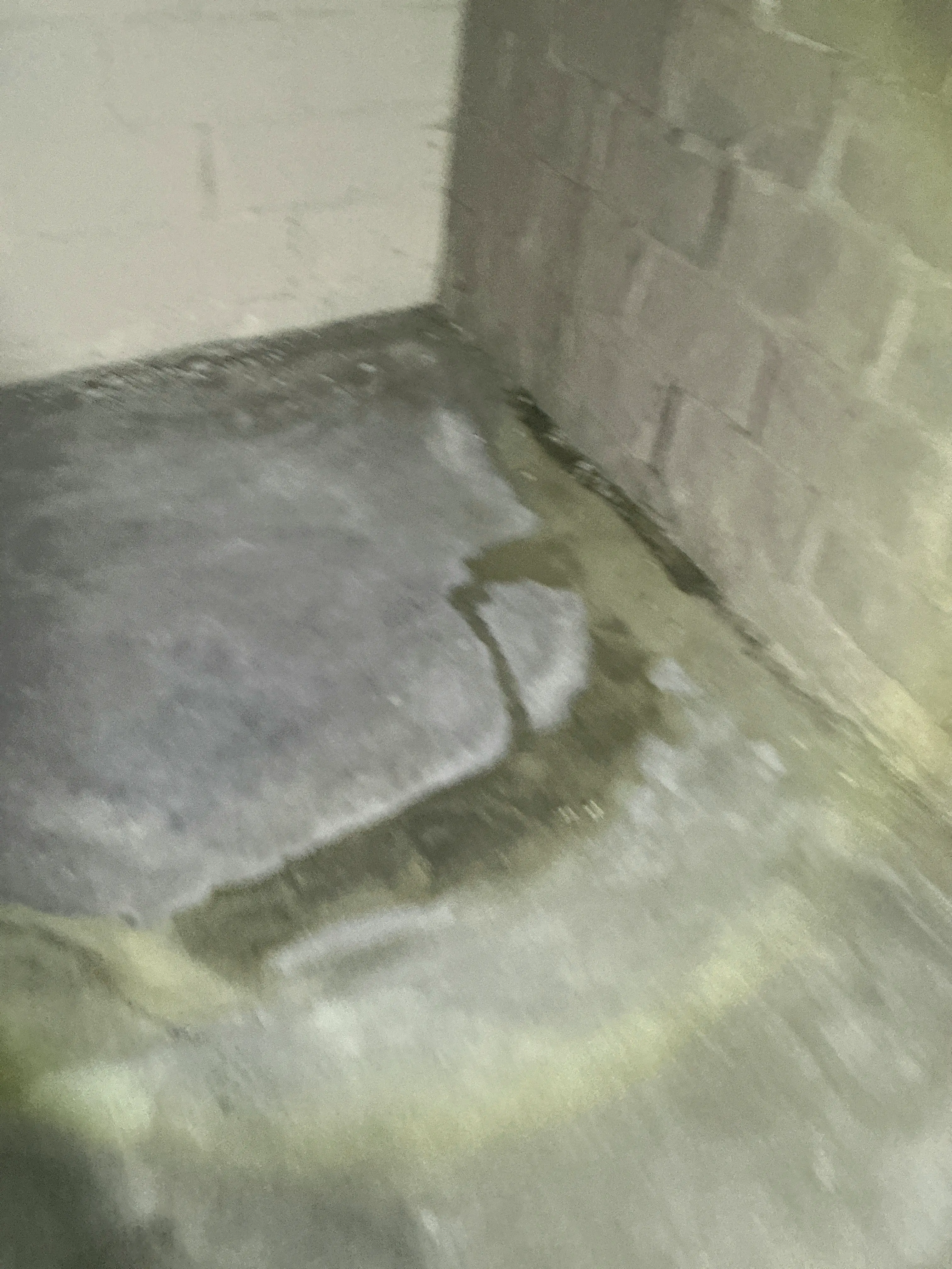 Water seepage and damp staining on basement concrete floor and foundation wall joint 2026-09-02