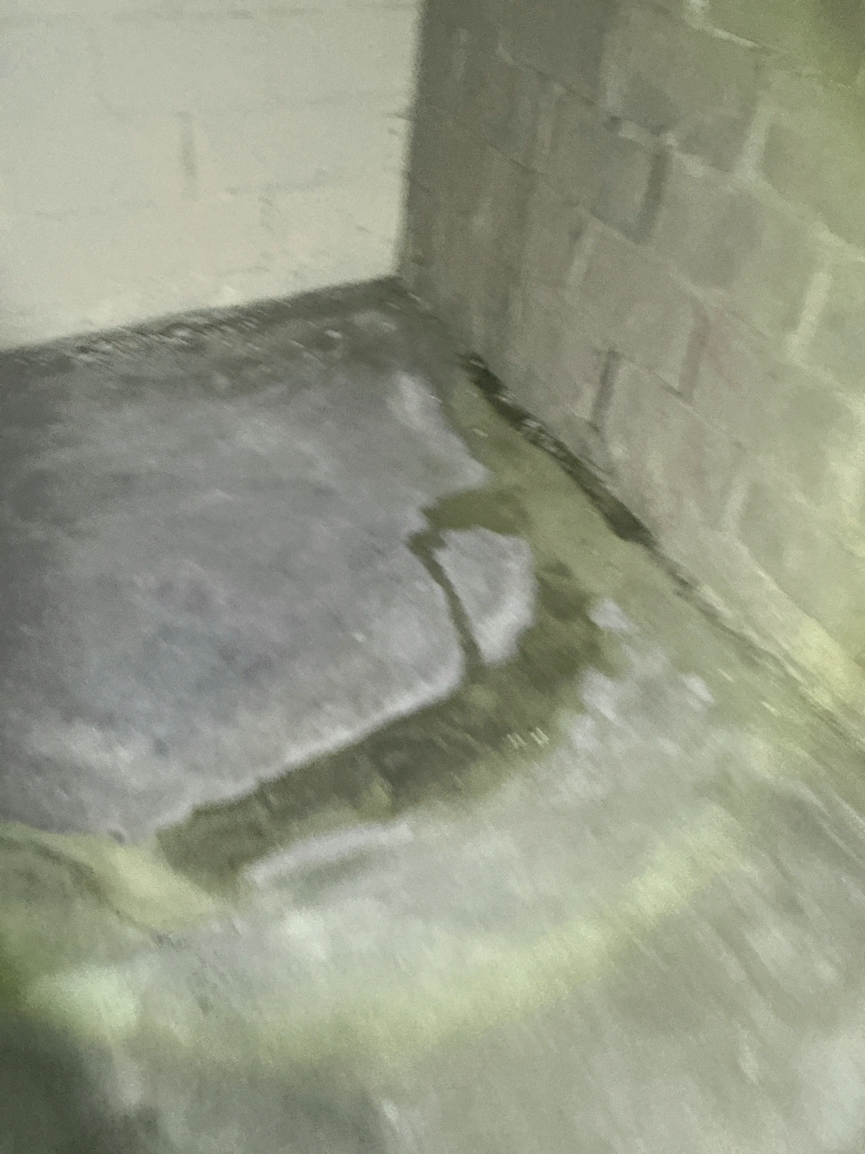 Water seepage and damp staining on basement concrete floor and foundation wall joint 2026-08-20