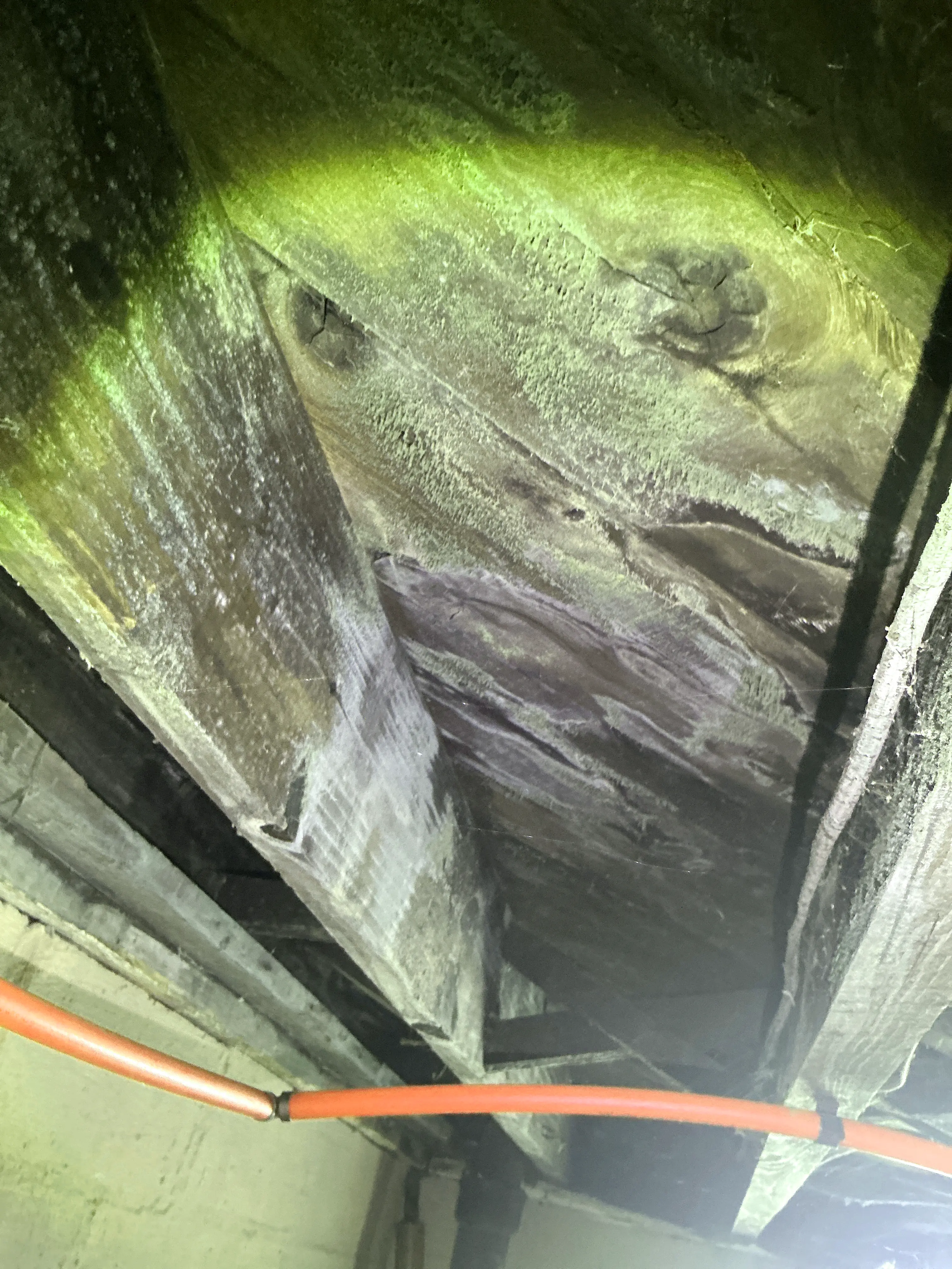 Mold growth on wooden joists and subfloor in basement or crawl space 2026-08-09