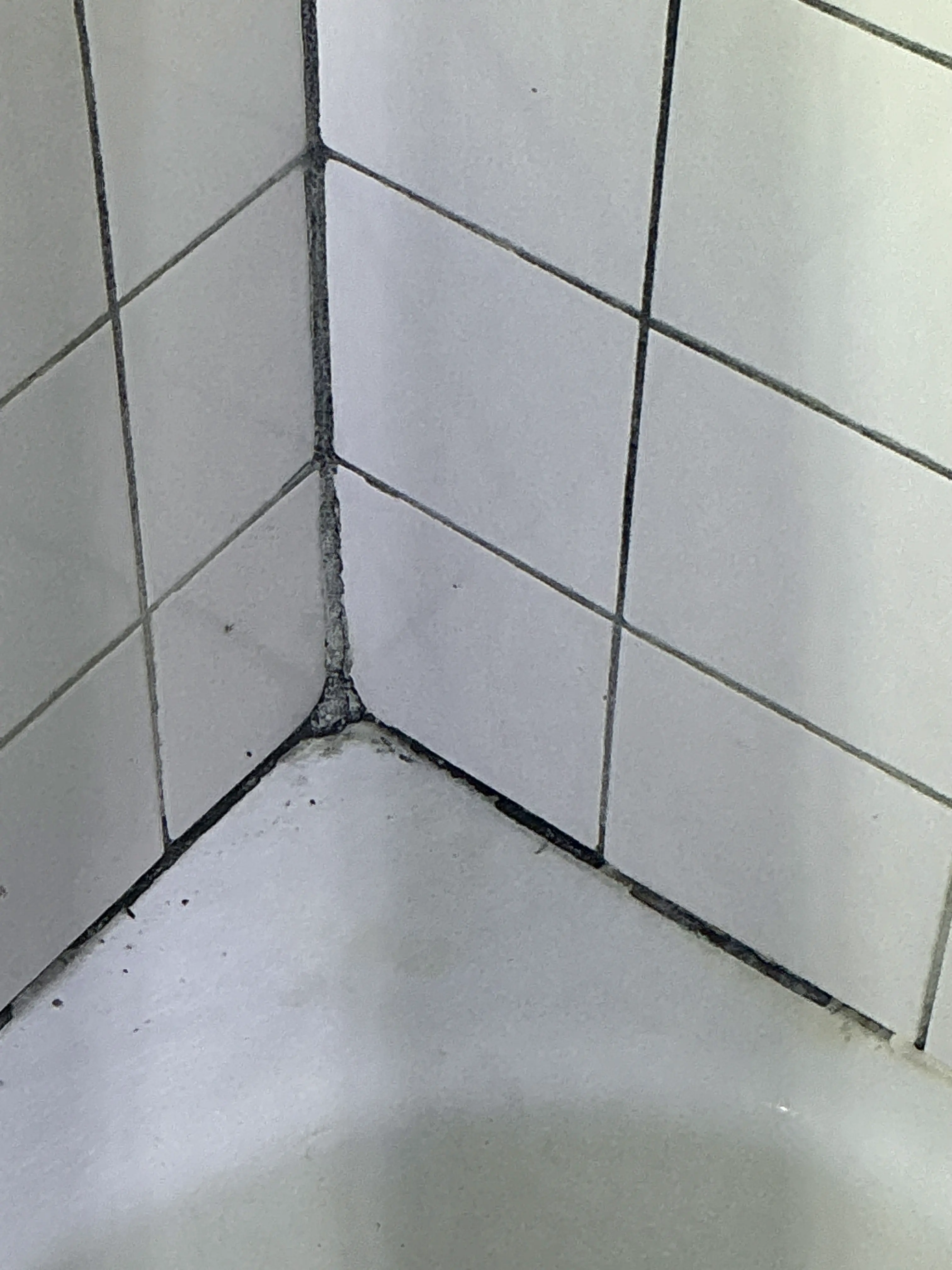 Deteriorated and mold-stained caulk joint along bathroom tile wall 2026-07-08