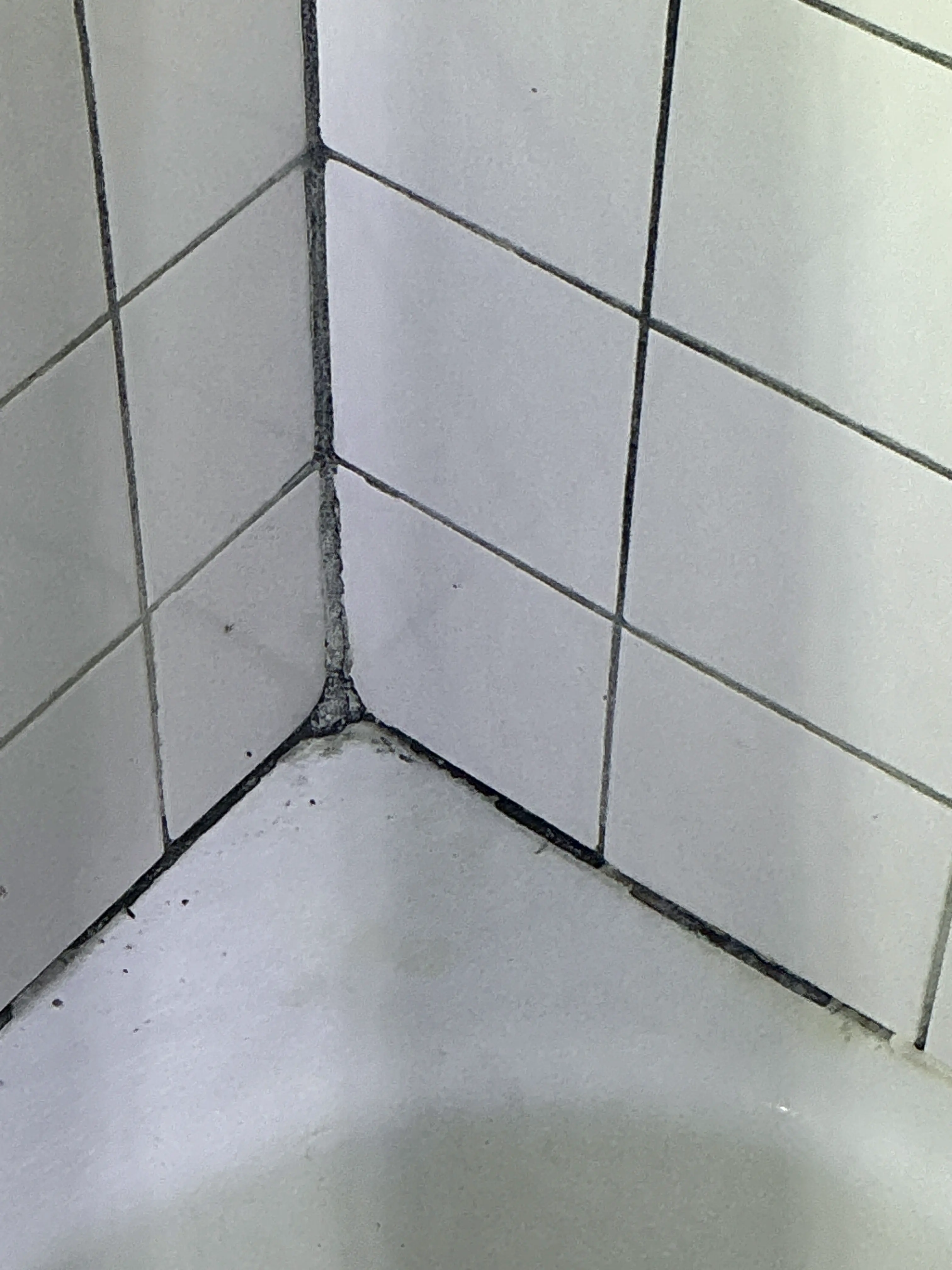 Deteriorated and mold-stained caulk joint along bathroom tile wall 2026-08-10