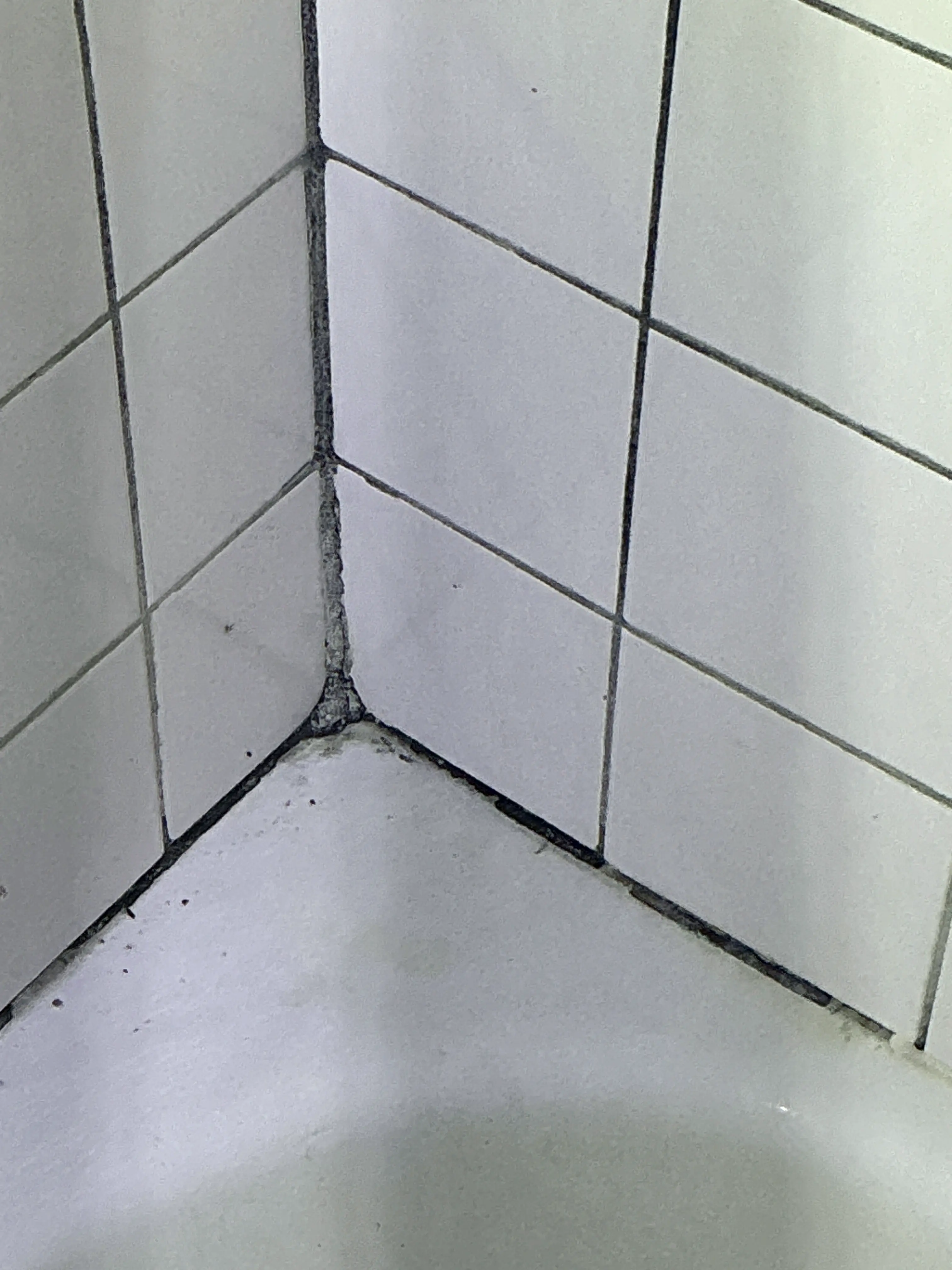 Deteriorated and mold-stained caulk joint along bathroom tile wall 2026-07-23
