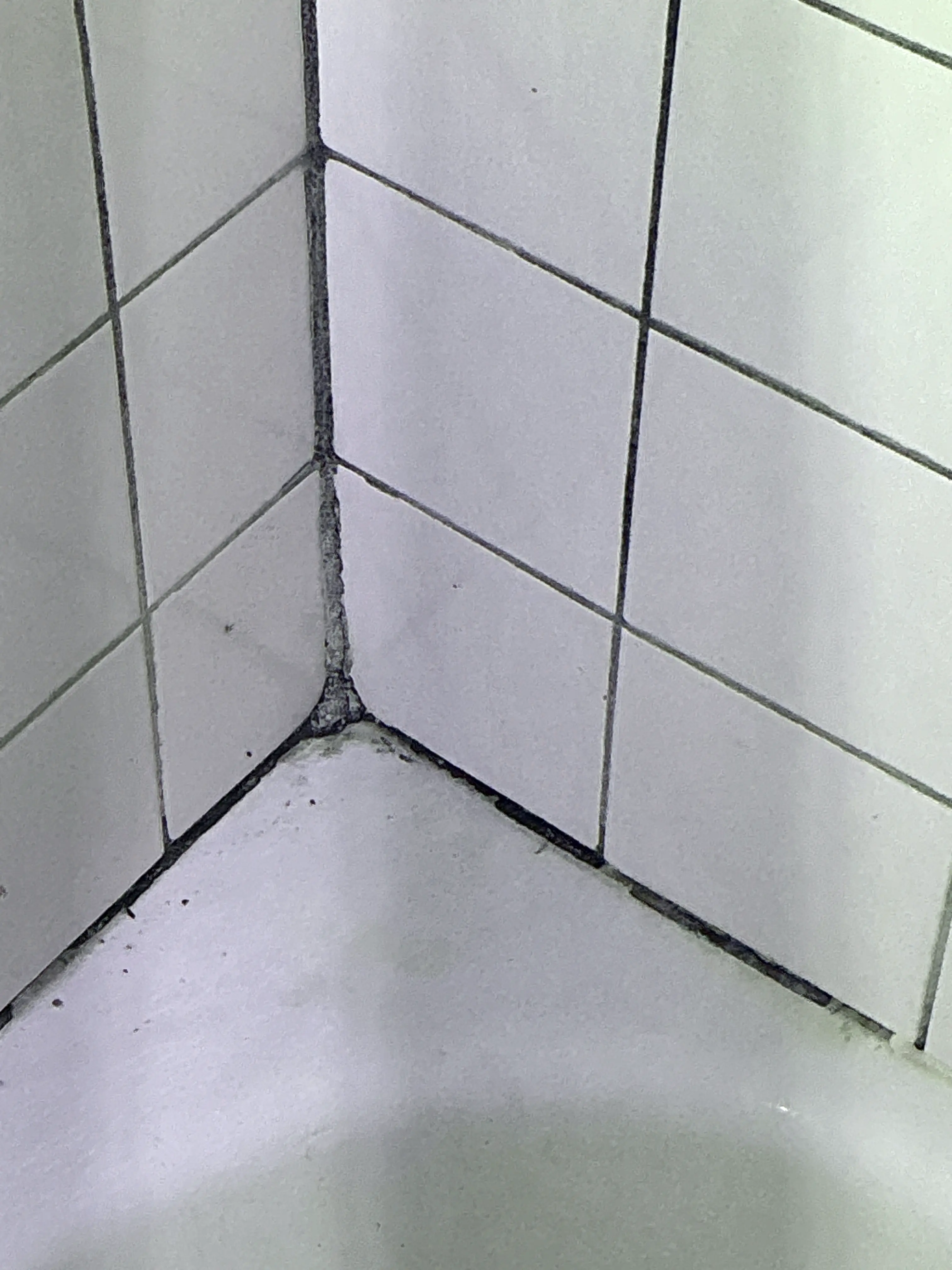 Deteriorated and mold-stained caulk joint along bathroom tile wall 2026-09-01