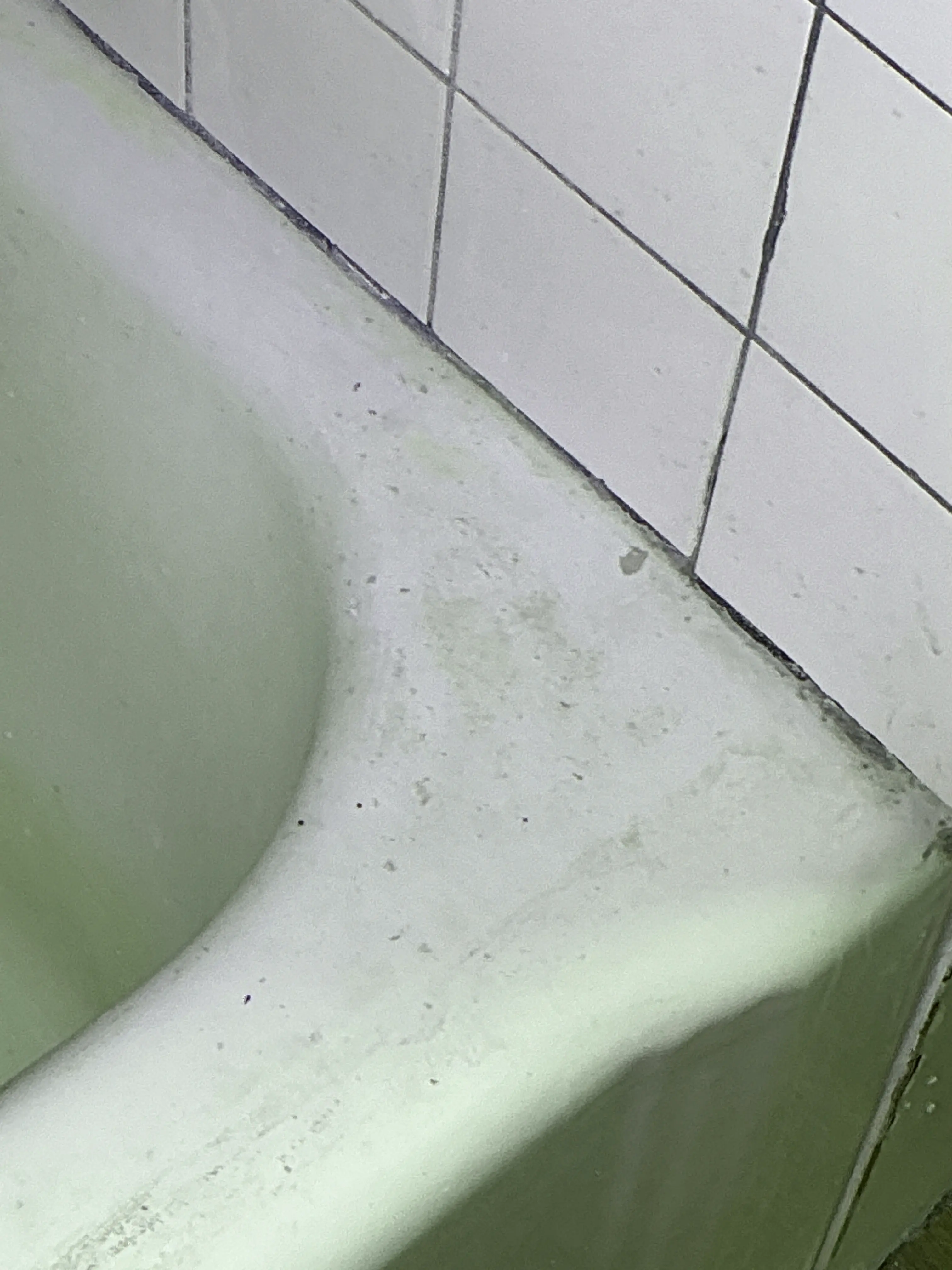 Deteriorated caulk along bathtub edge and tile surround in a bathroom 2026-08-25