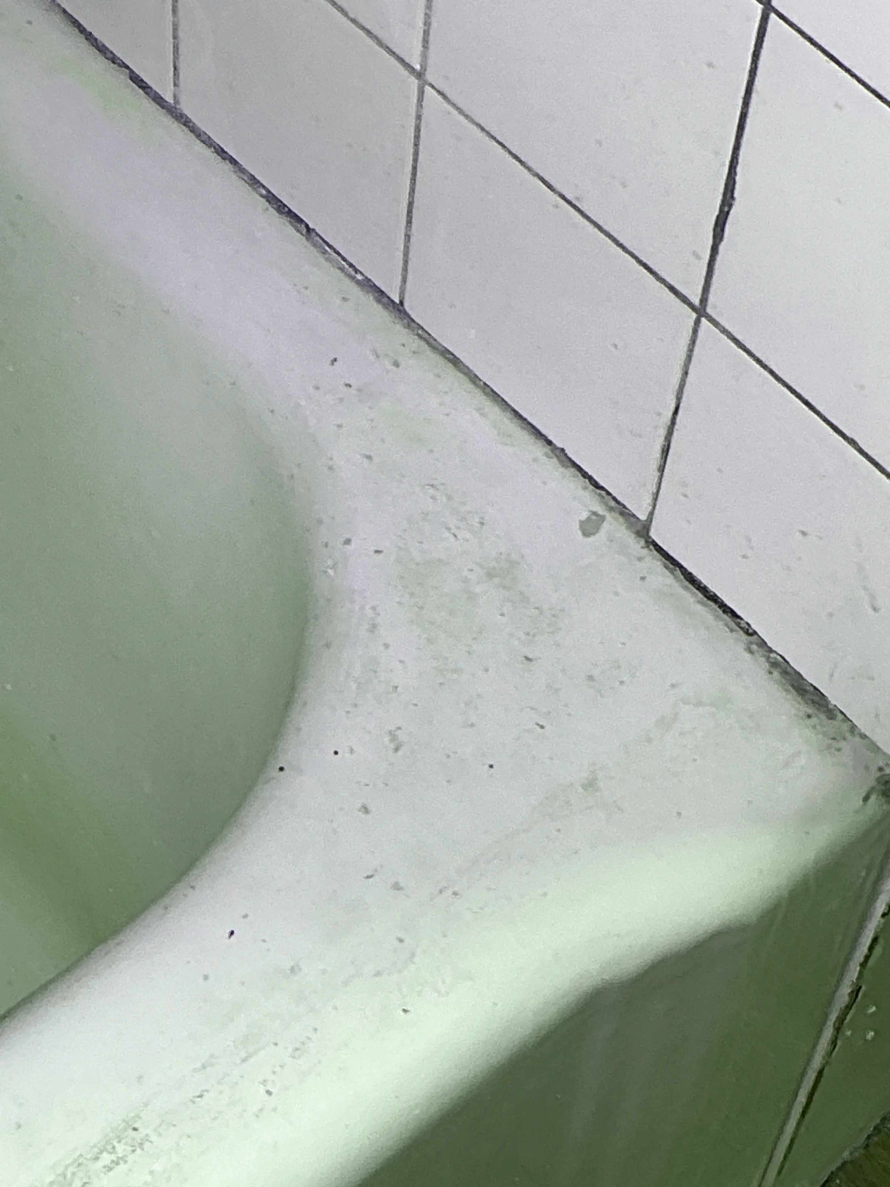 Deteriorated caulk along bathtub edge and tile surround in a bathroom 2026-08-20