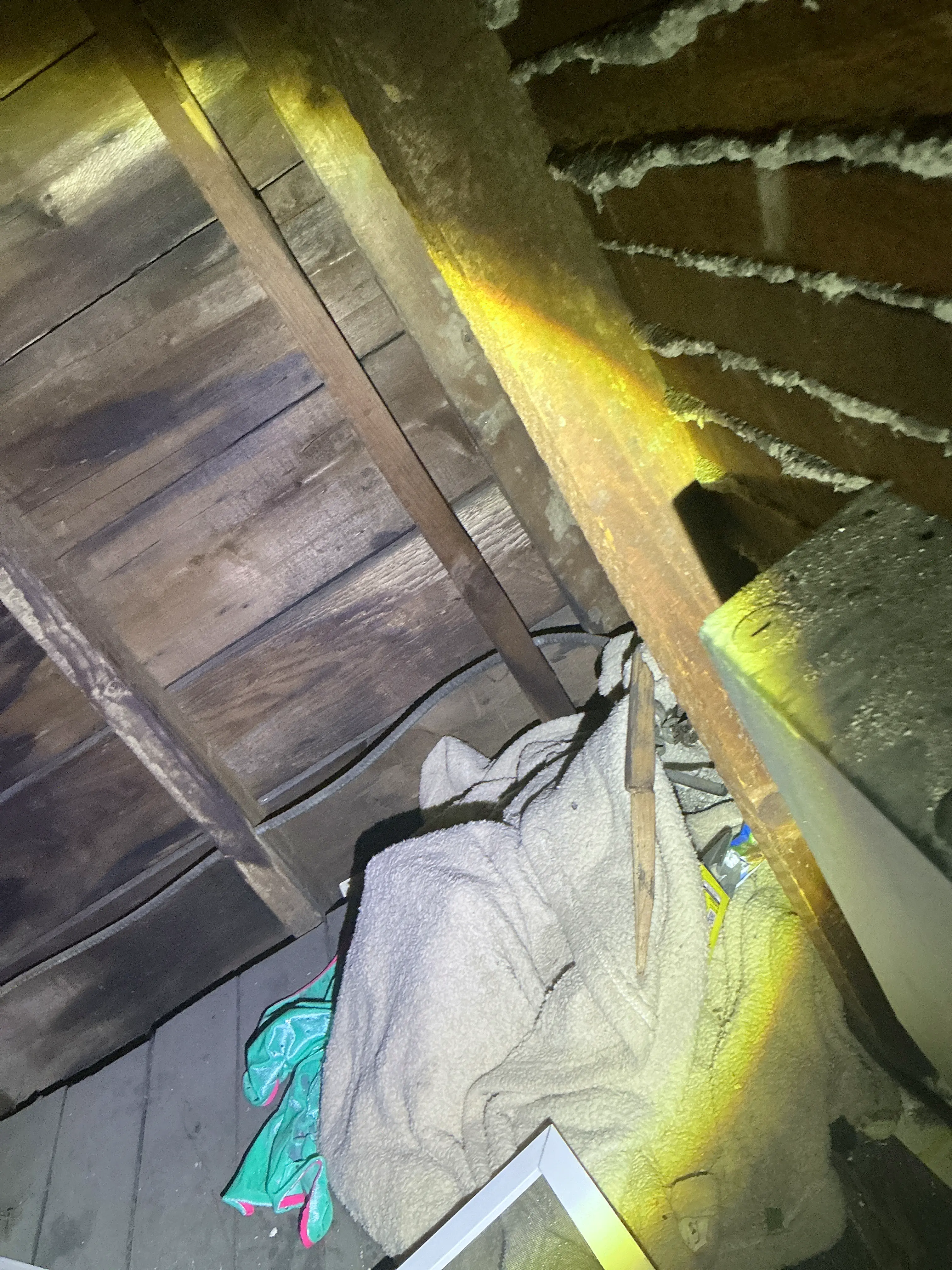 Attic inspection showing wooden rafters, floorboards, and stored personal clutter. 2026-08-07