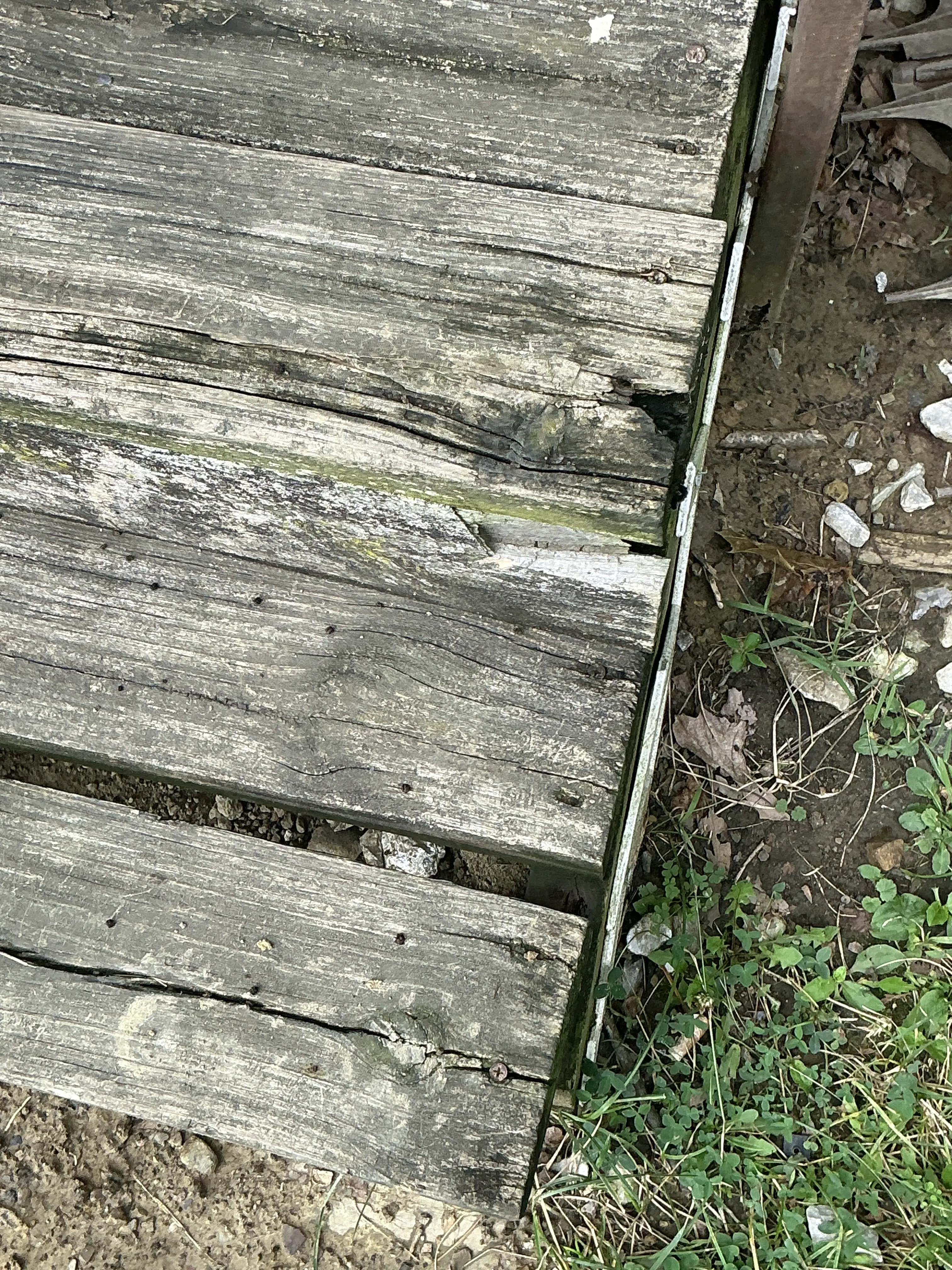 Deteriorated wooden deck boards with visible cracks and wood rot during mold inspection 2026-07-31