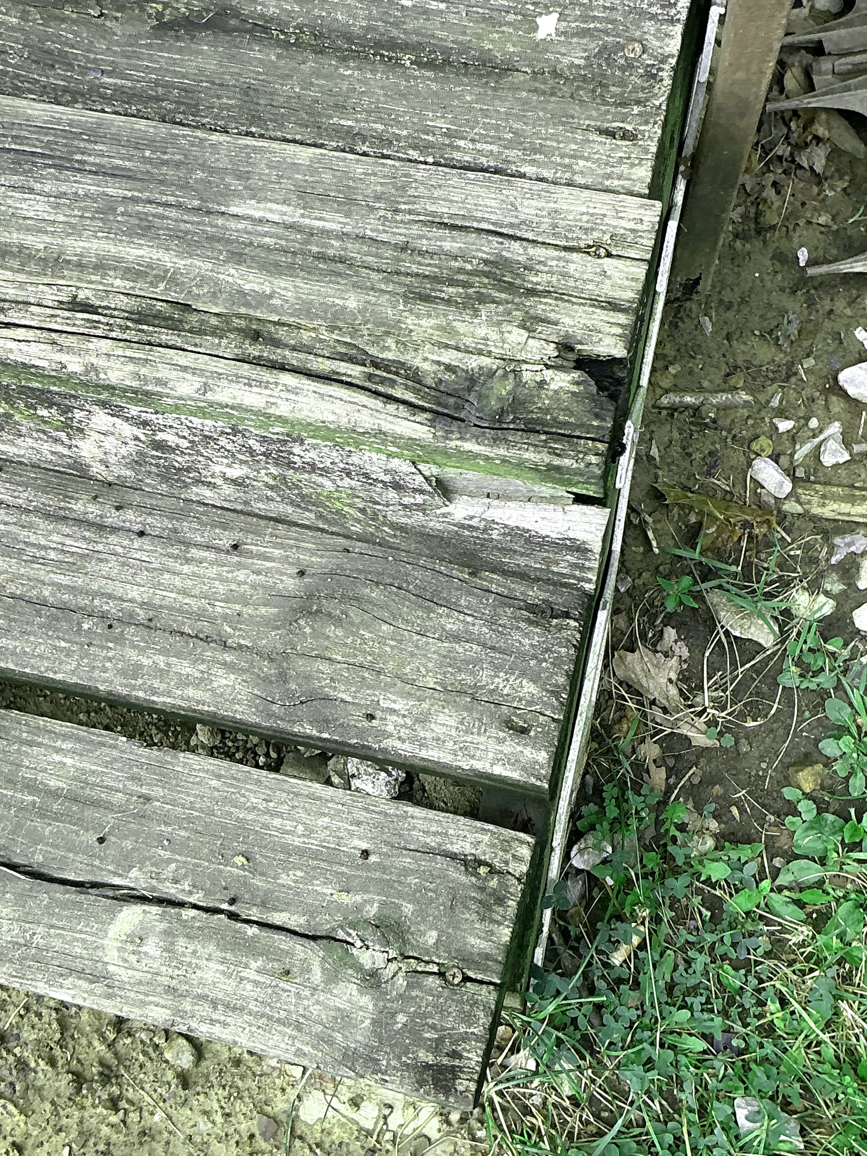 Deteriorated wooden deck boards with visible cracks and wood rot during lead test 2026-08-02