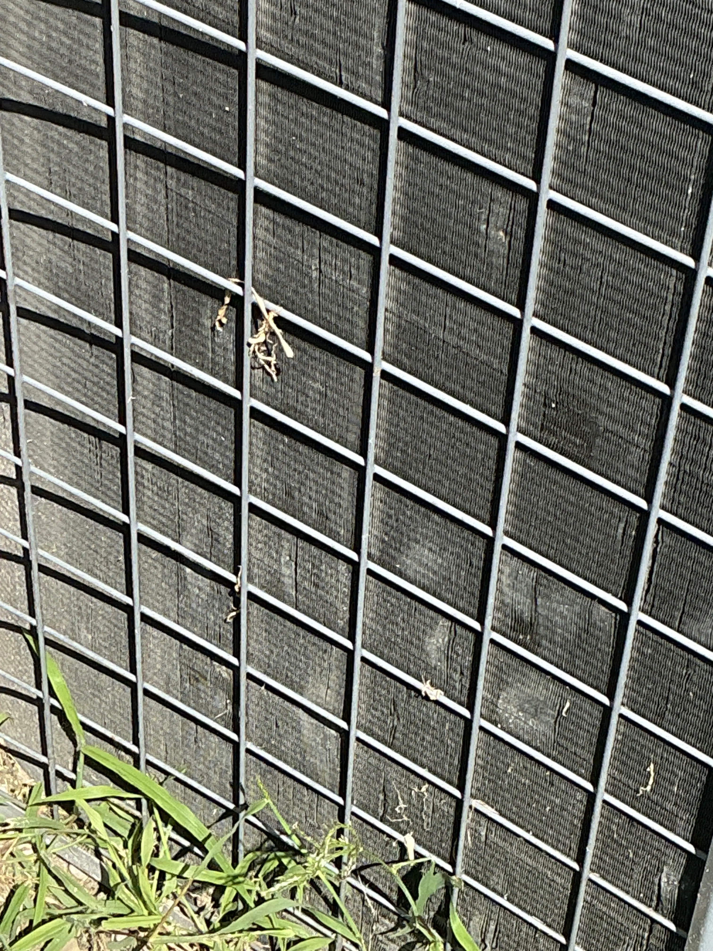 Close-up of dirty HVAC condenser unit fins behind a metal wire guard 2026-08-24