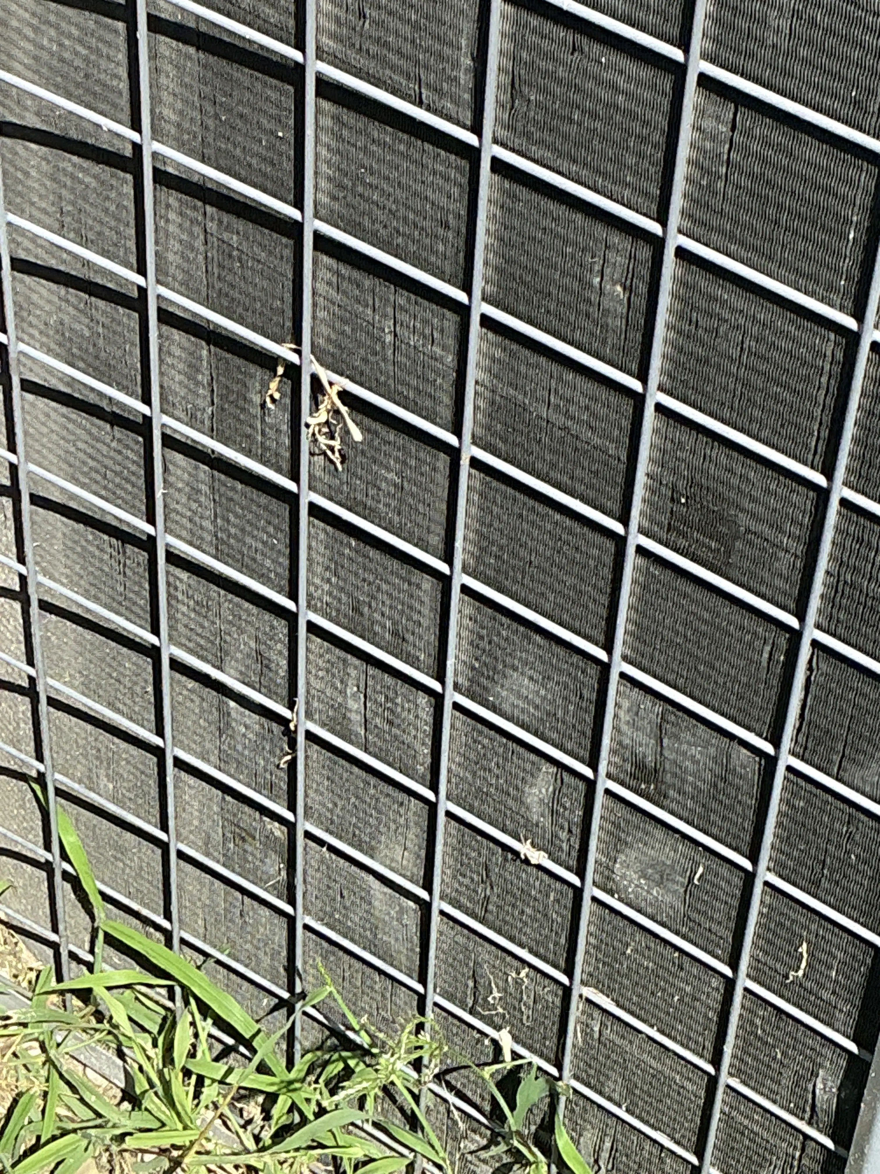 Close-up of dirty HVAC condenser unit fins behind a metal wire guard 2026-07-20