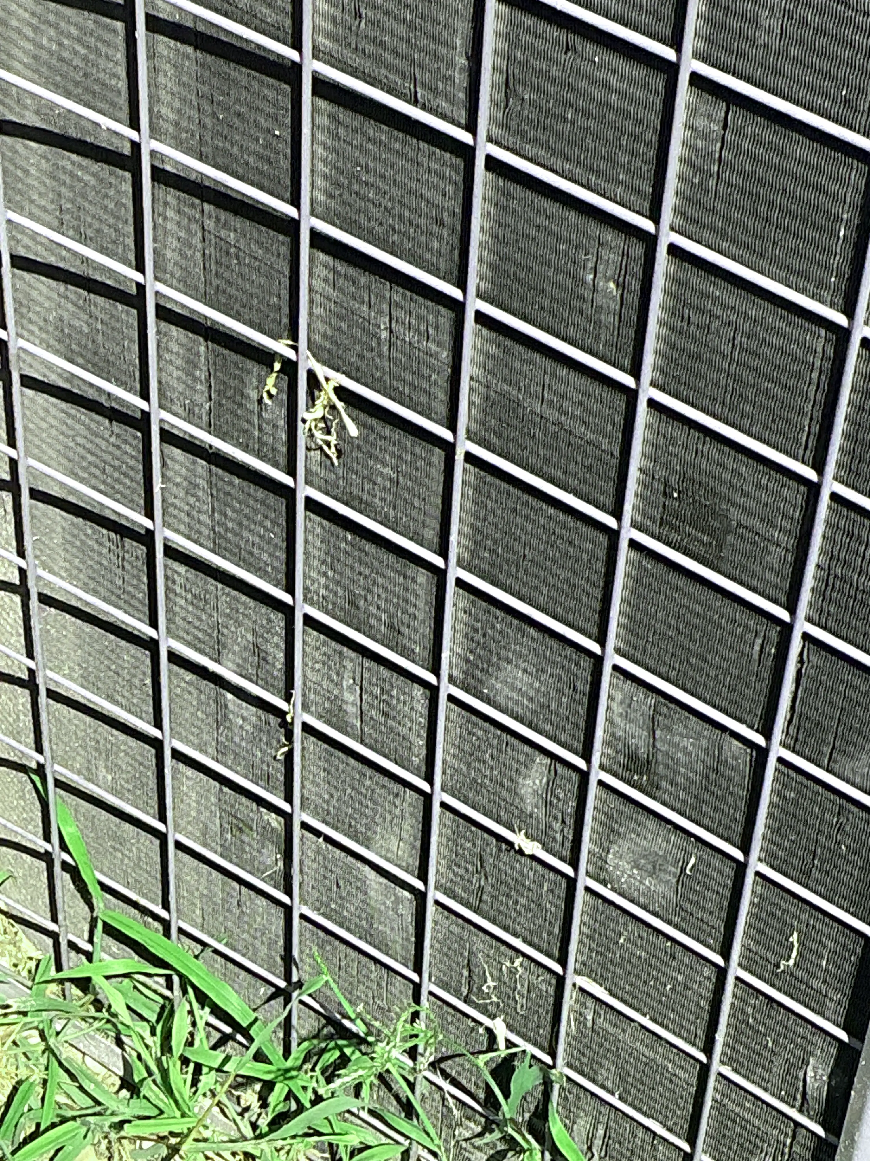 Close-up of dirty HVAC condenser unit fins behind a metal wire guard 2026-07-19