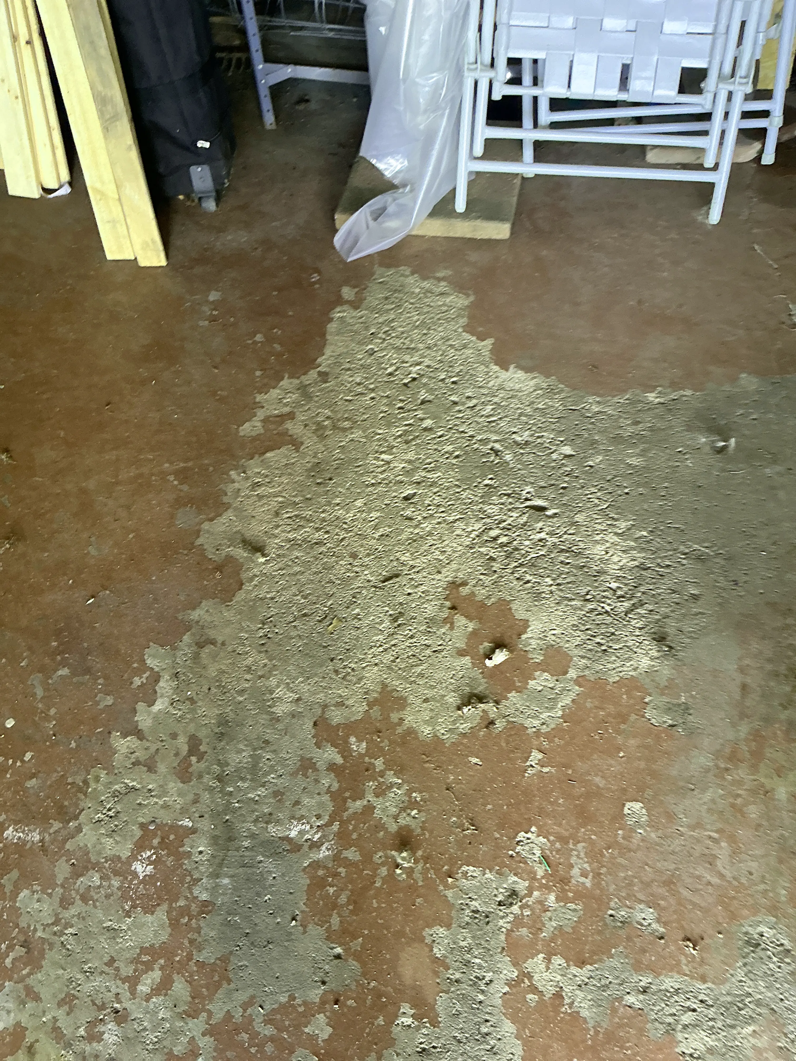 Peeling paint and worn floor coating on concrete garage floor 2026-07-05