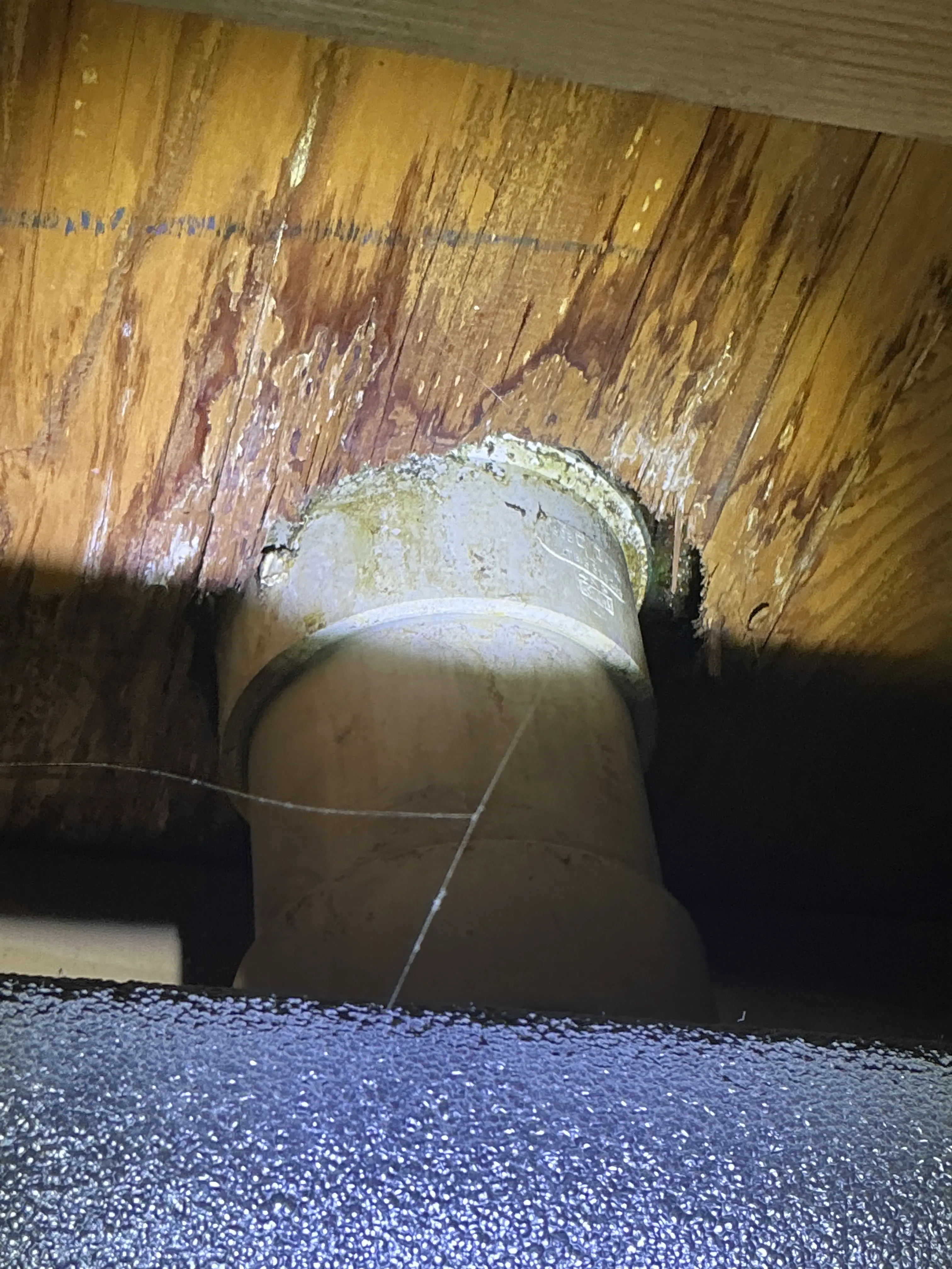 Water staining and wood deterioration around a PVC plumbing pipe penetration under a subfloor 2026-07-29