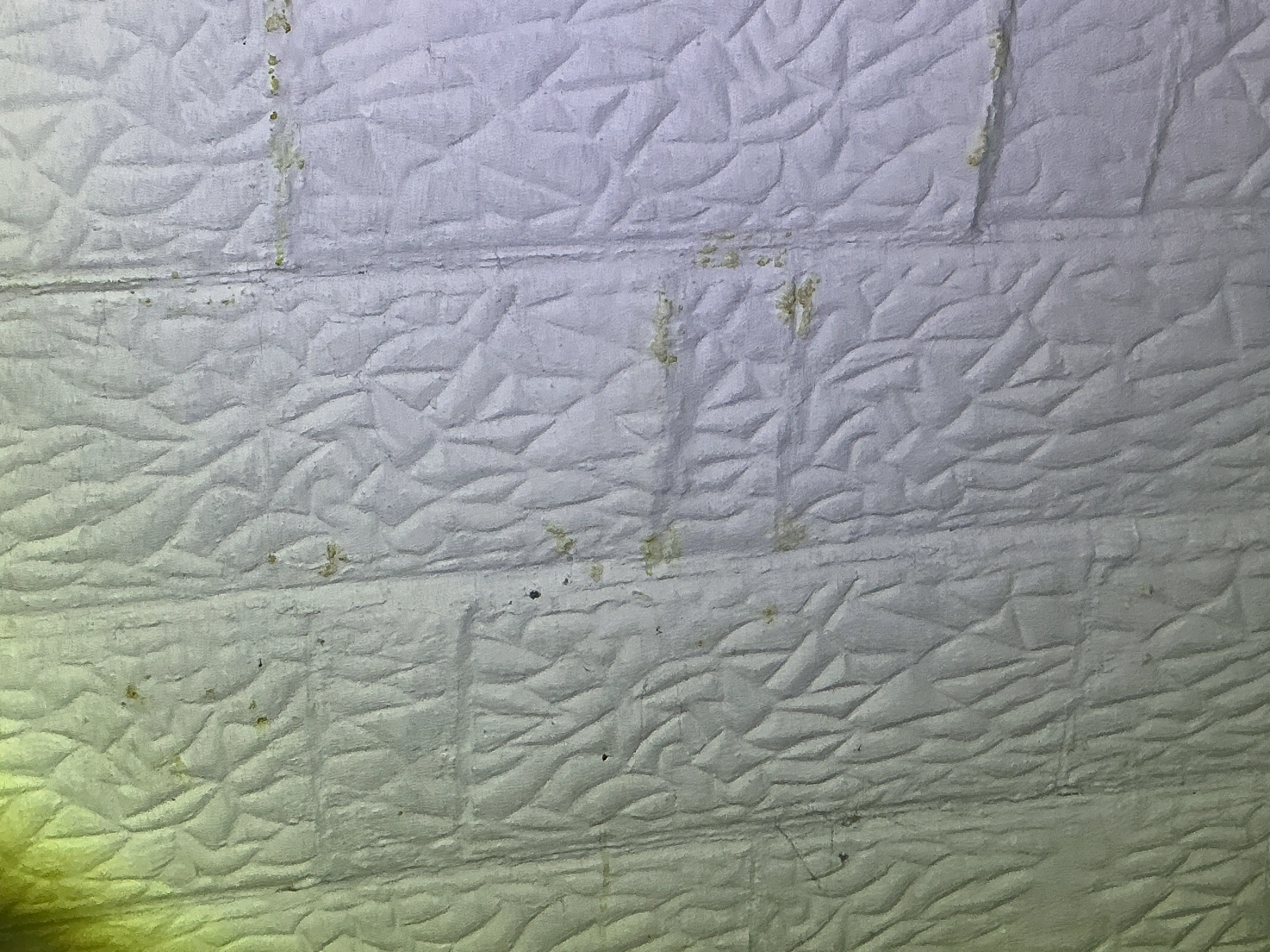 Moisture staining and efflorescence on textured basement wall joints 2026-08-11