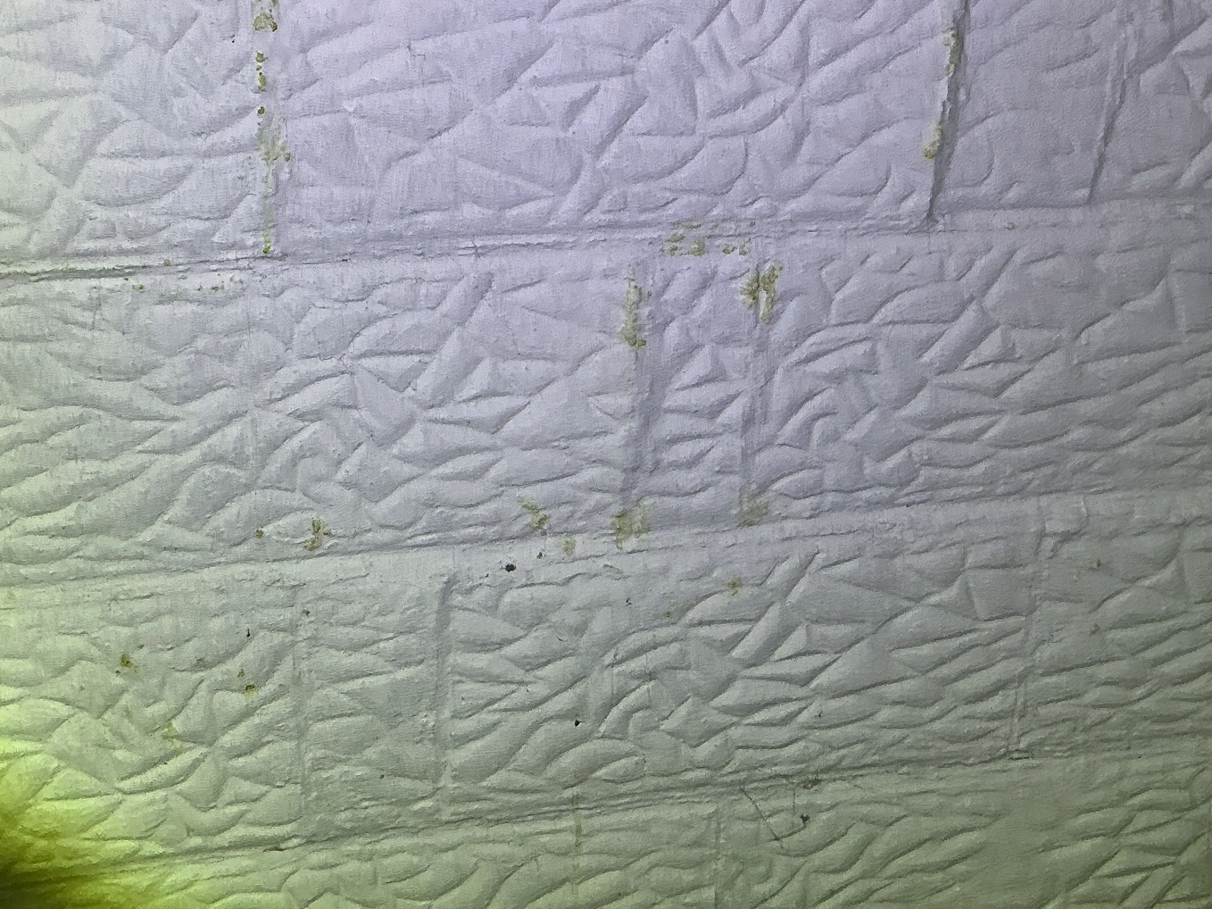 Moisture staining and efflorescence on textured basement wall joints 2026-07-11