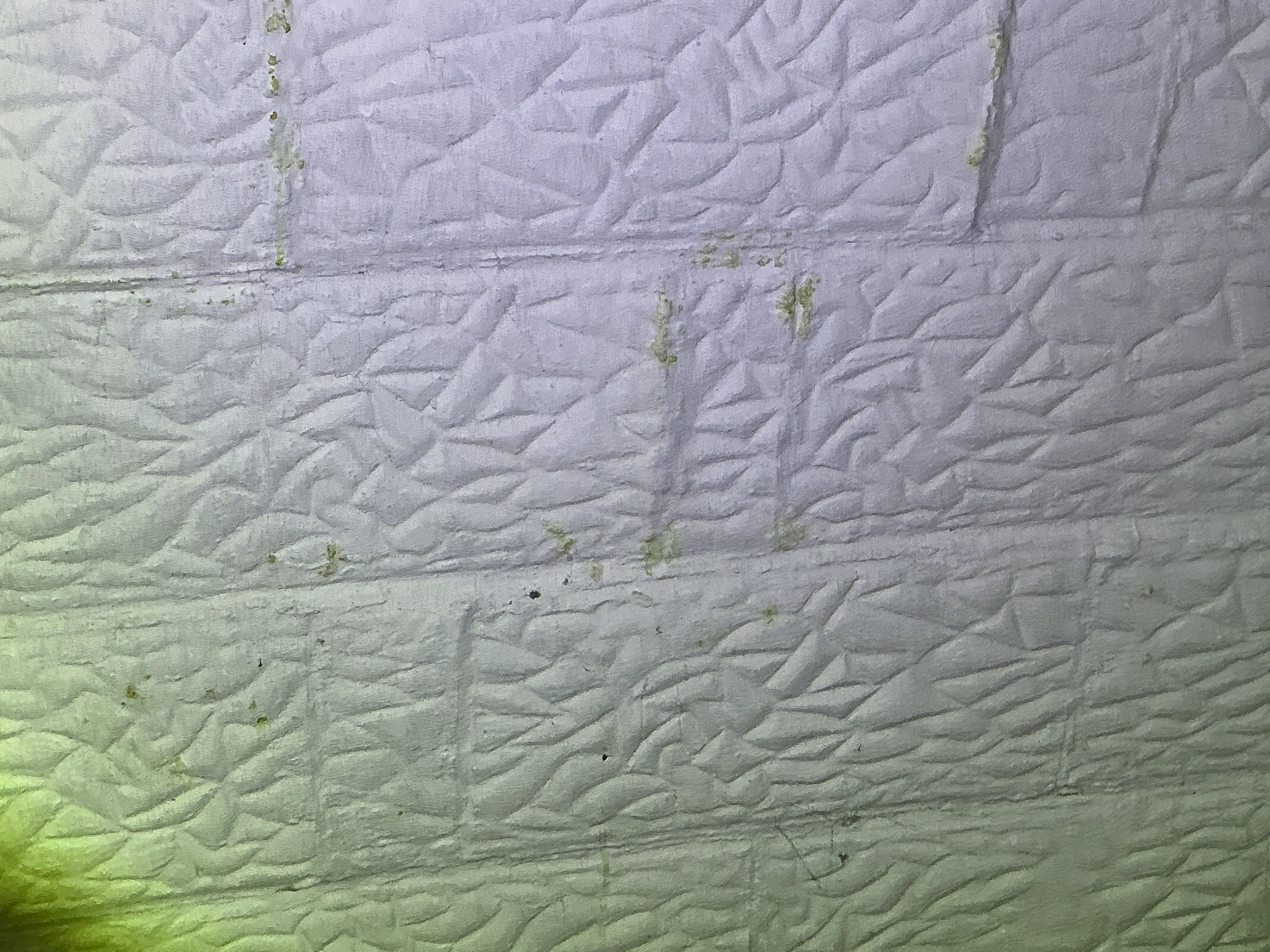 Moisture staining and efflorescence on textured basement wall joints 2026-07-07