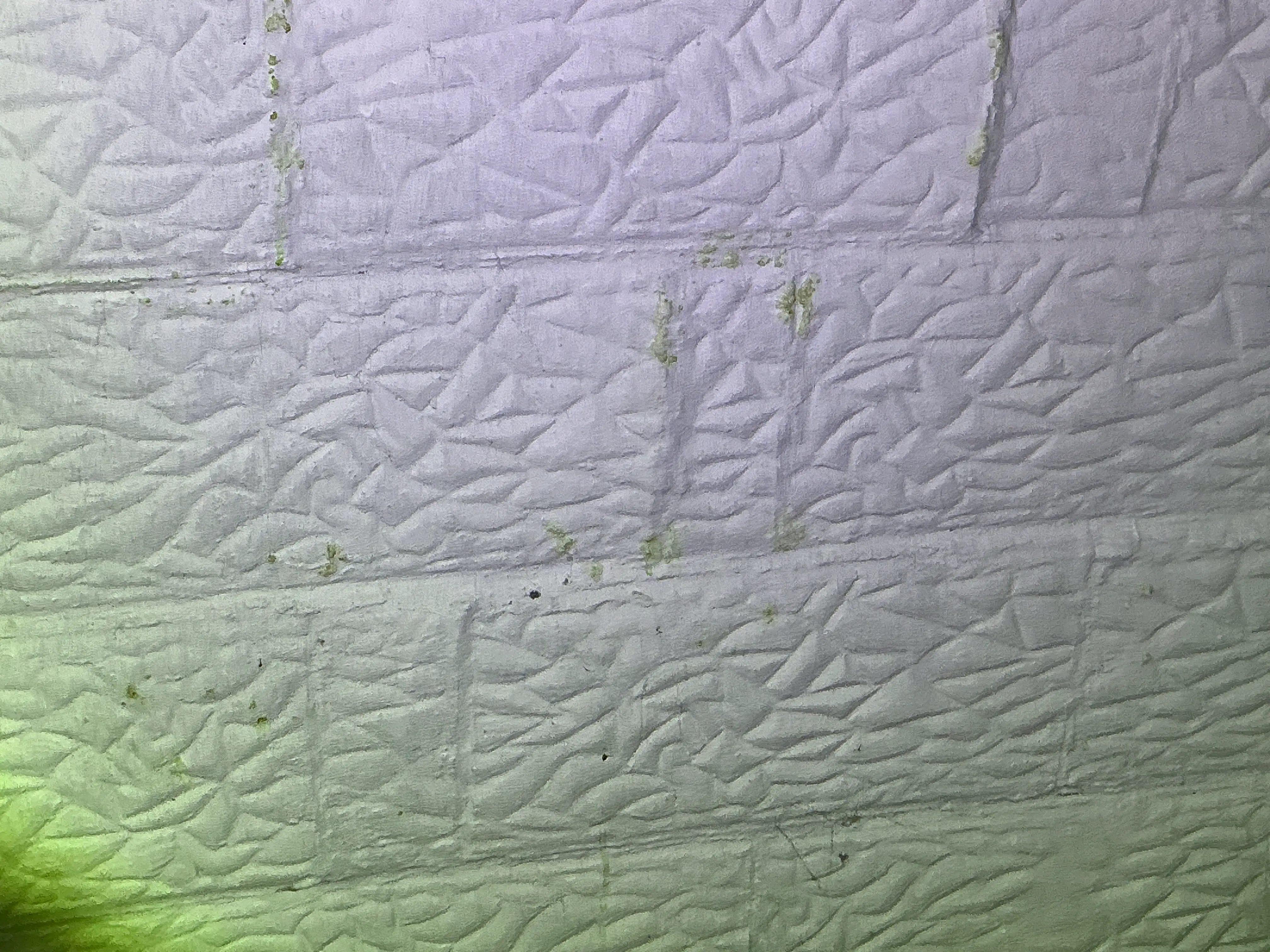 Moisture staining and efflorescence on textured basement wall joints 2026-07-07