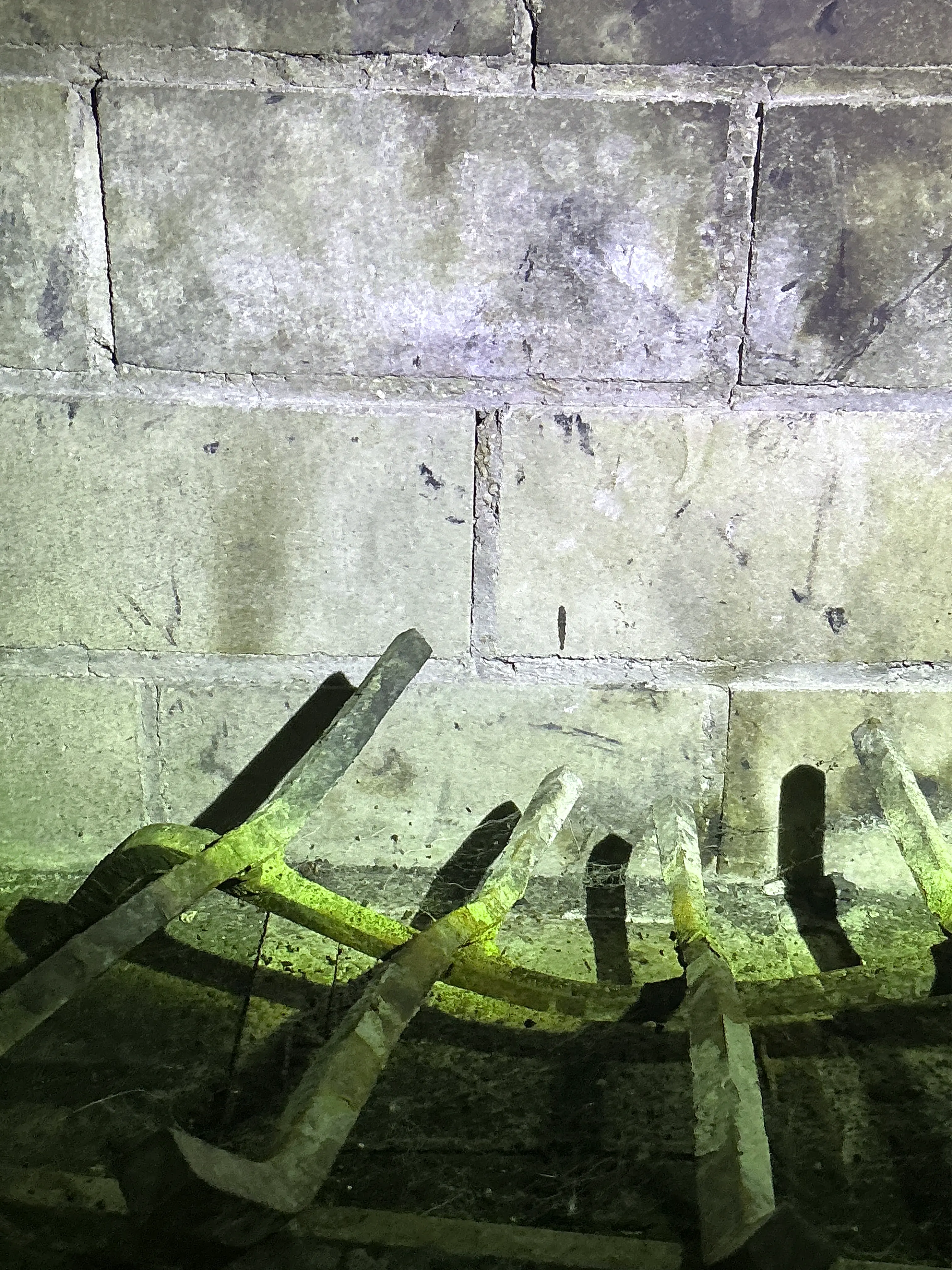 Masonry chimney flue interior inspection showing brick tiles and metal rungs. 2026-08-08
