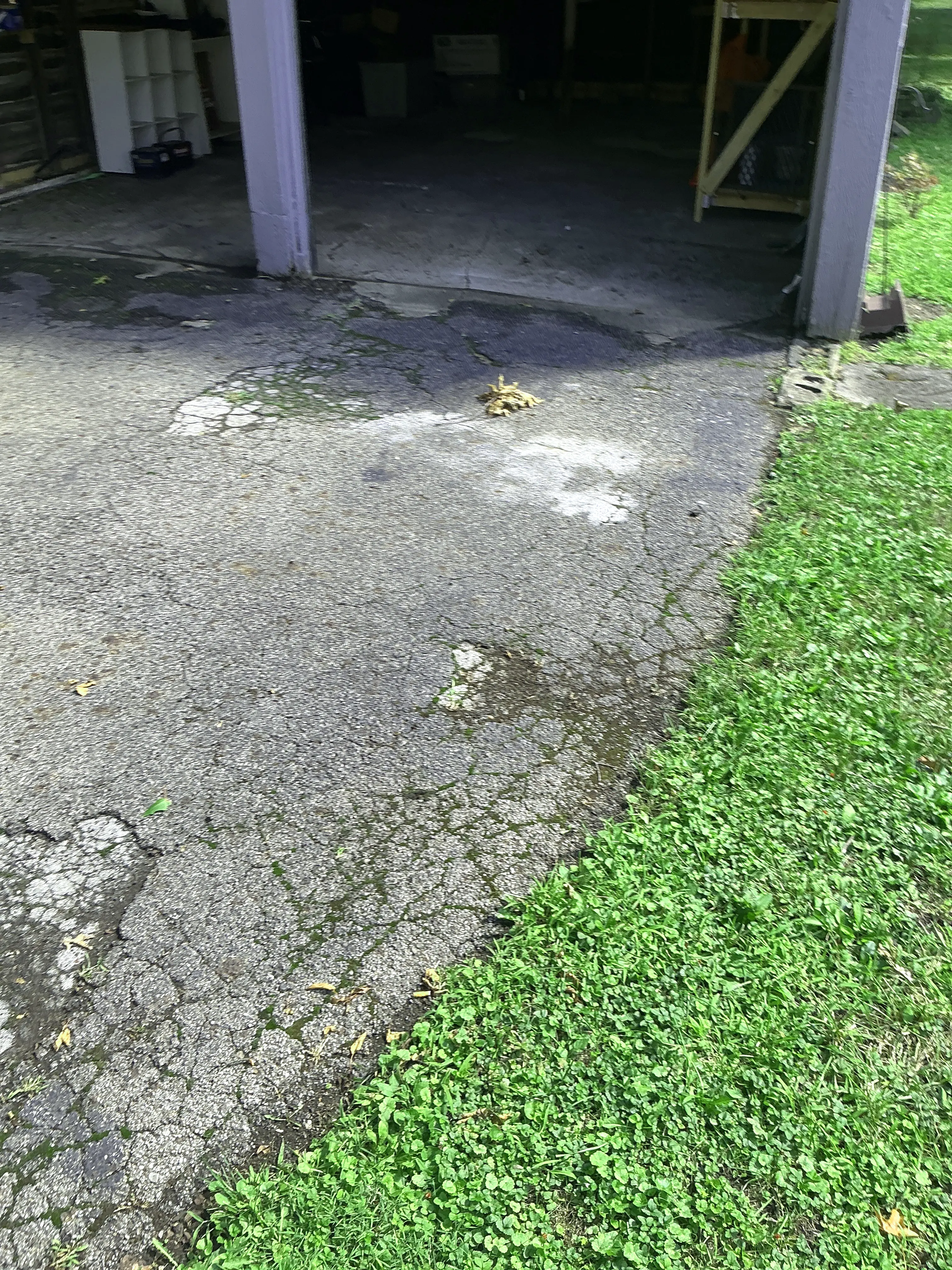 Cracked and damaged asphalt driveway pavement requiring repair 2026-09-02