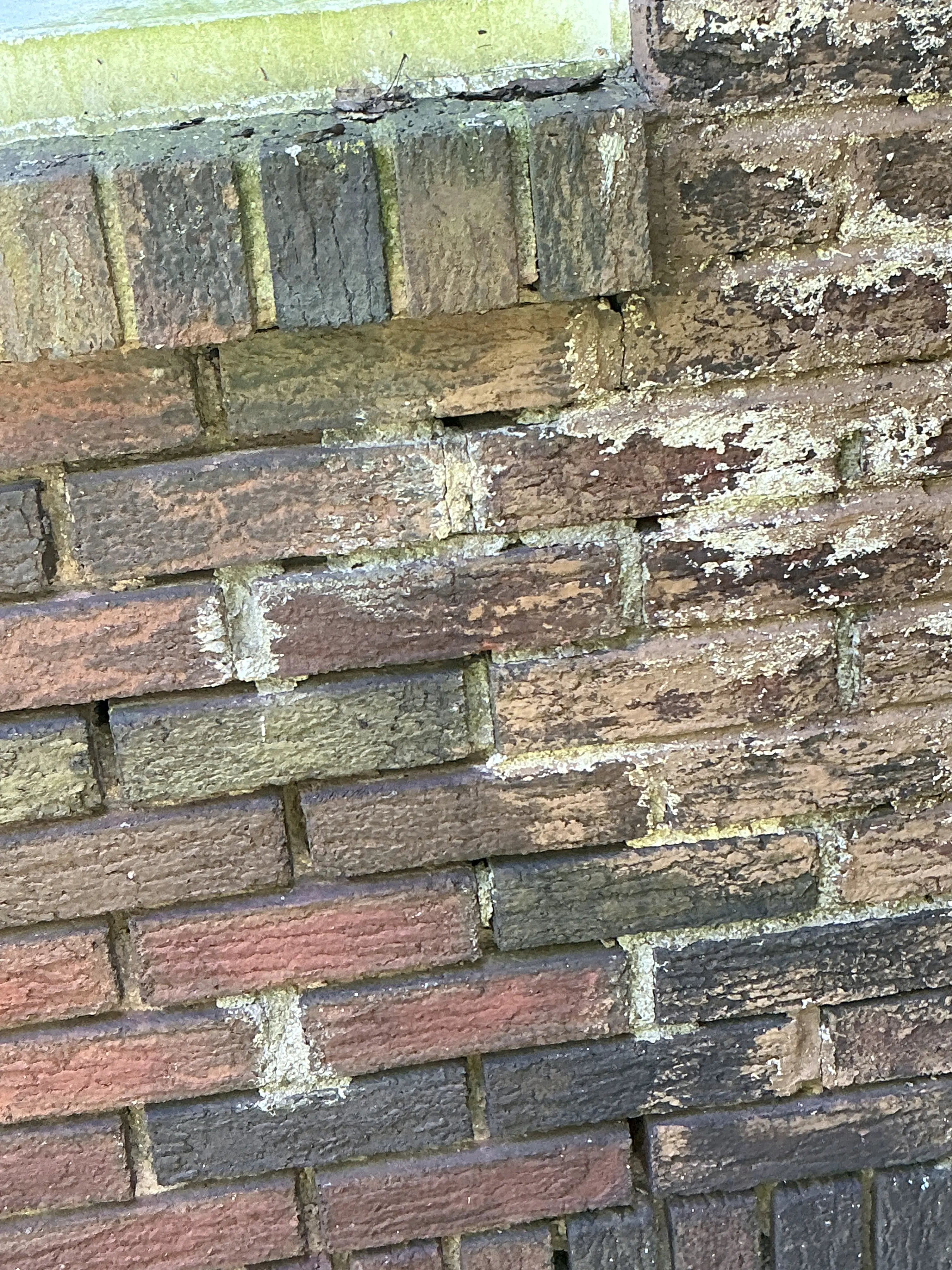 Efflorescence and moisture staining on exterior brick wall 2026-08-25