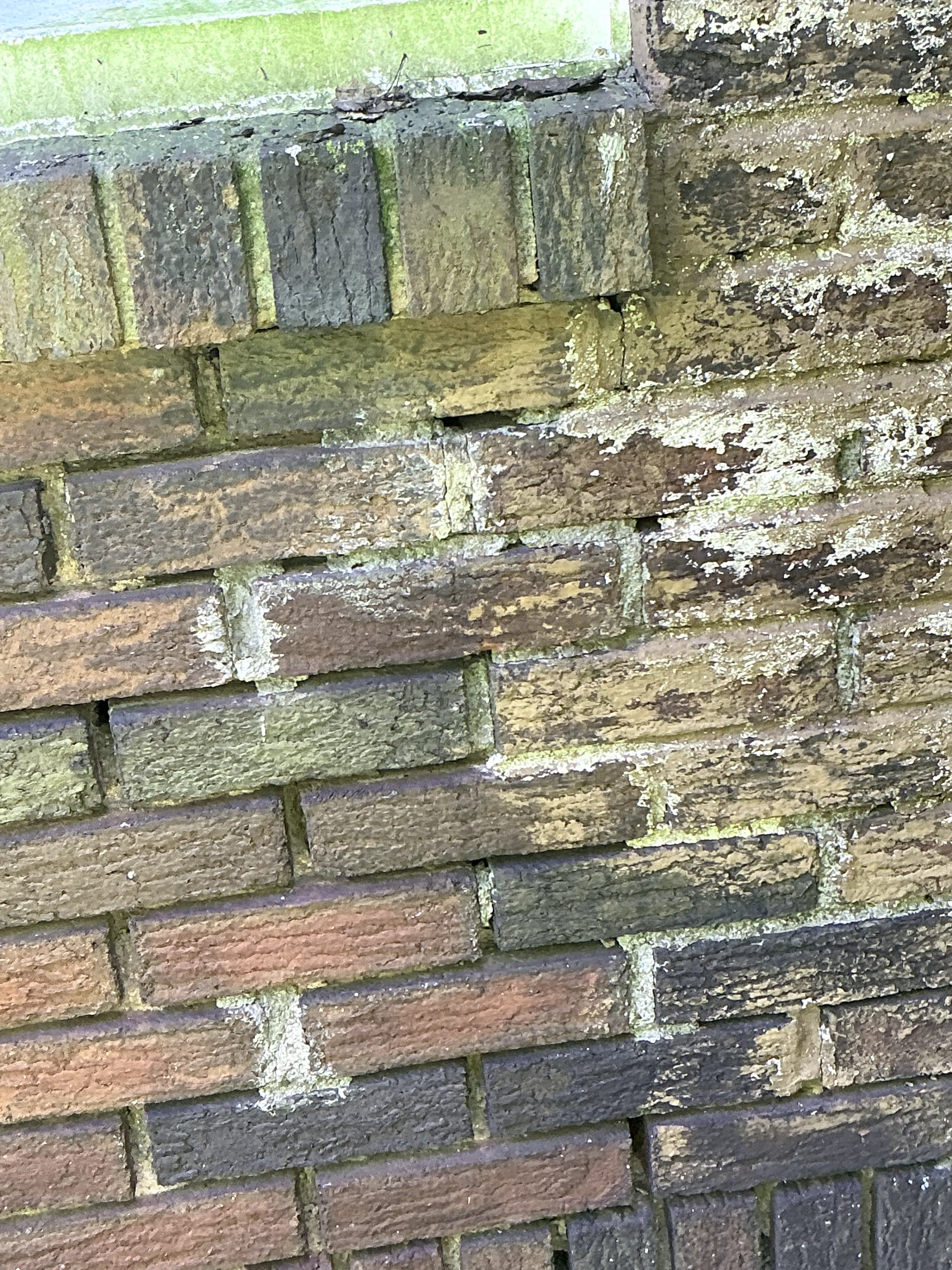 Efflorescence and moisture staining on exterior brick wall 2026-09-03