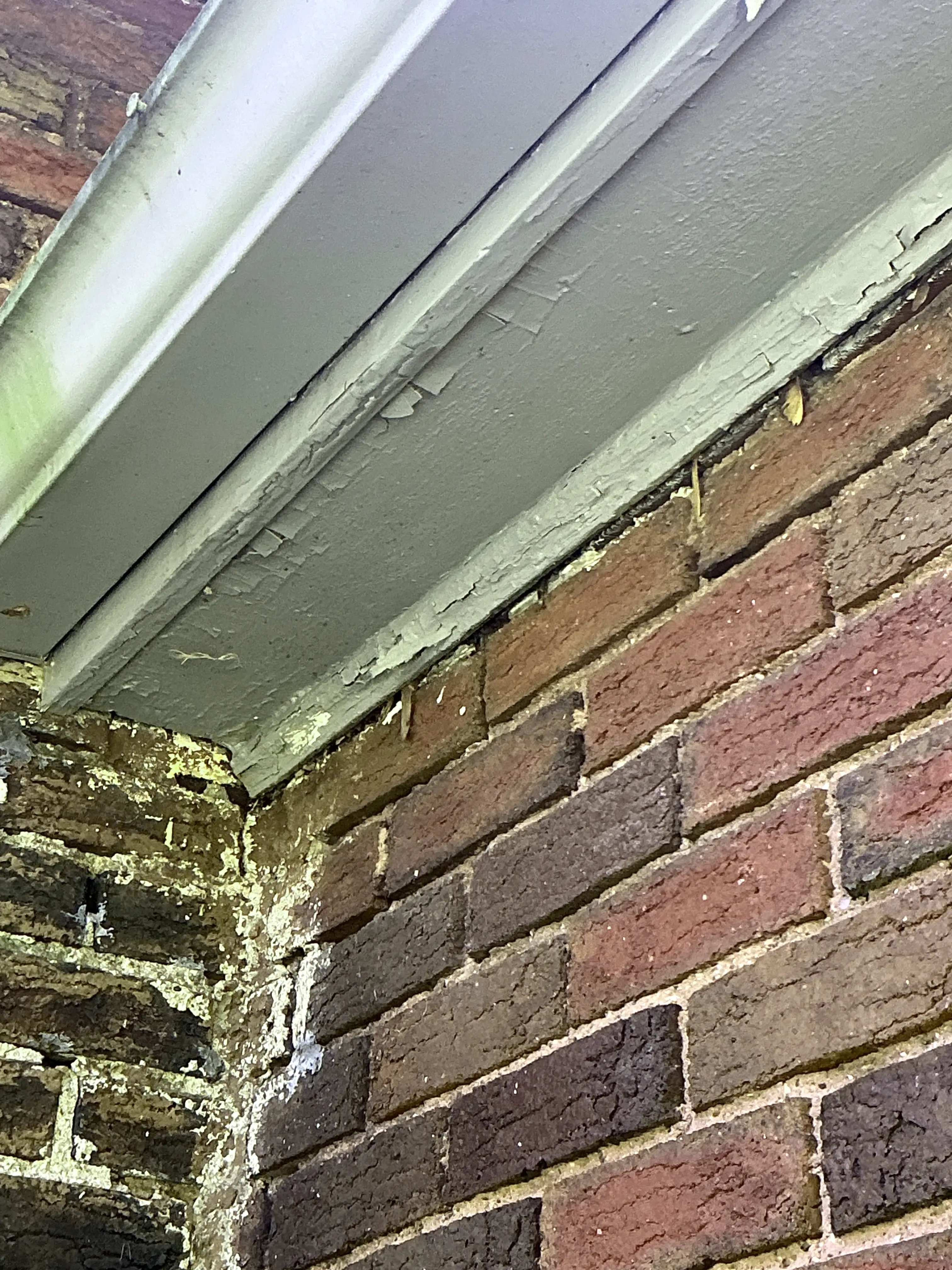 Peeling paint on exterior wood trim near brick masonry wall 2026-07-20