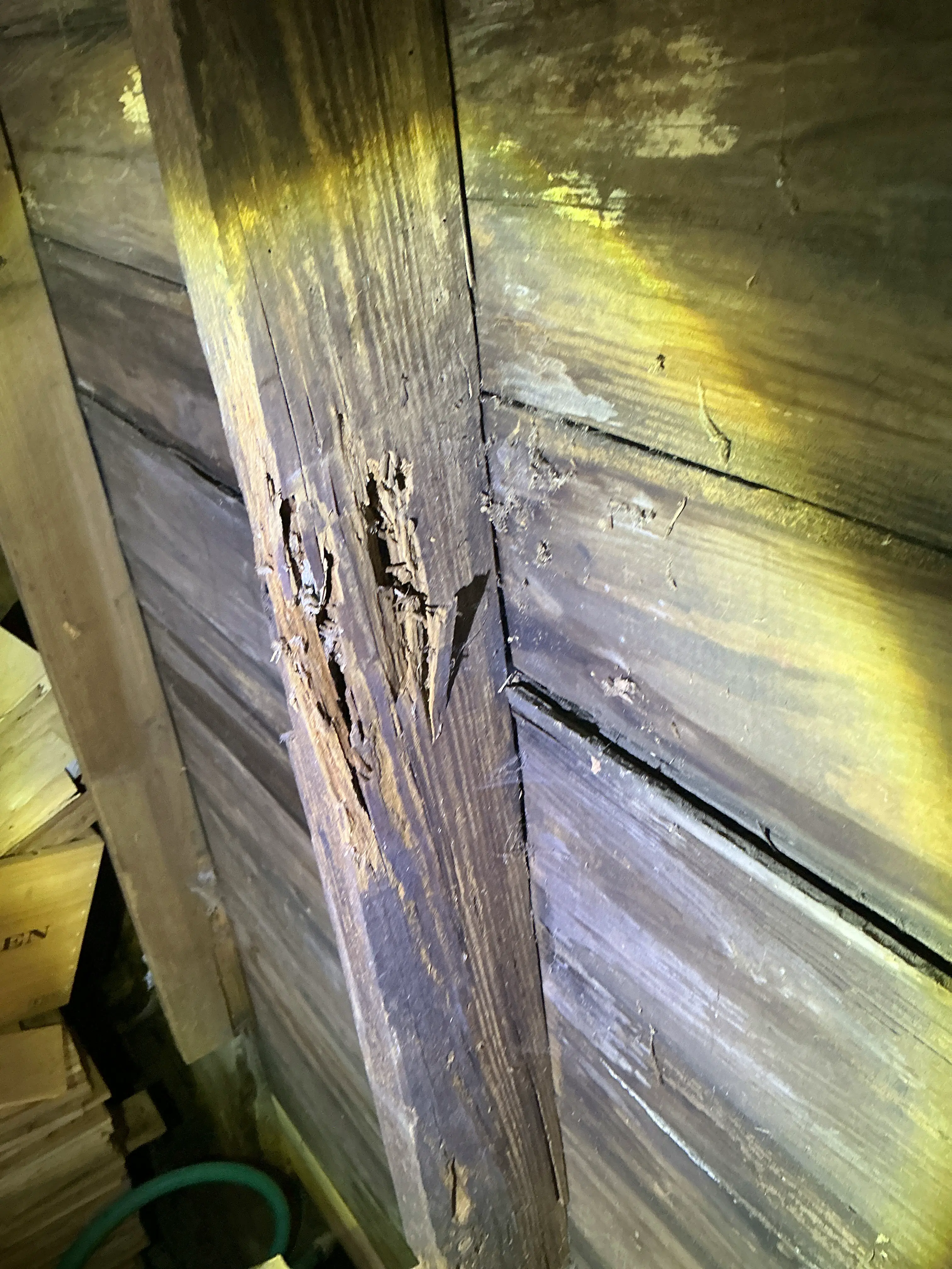 Rafter with severe wood decay and damage identified during attic indoor air quality testing 2026-07-09