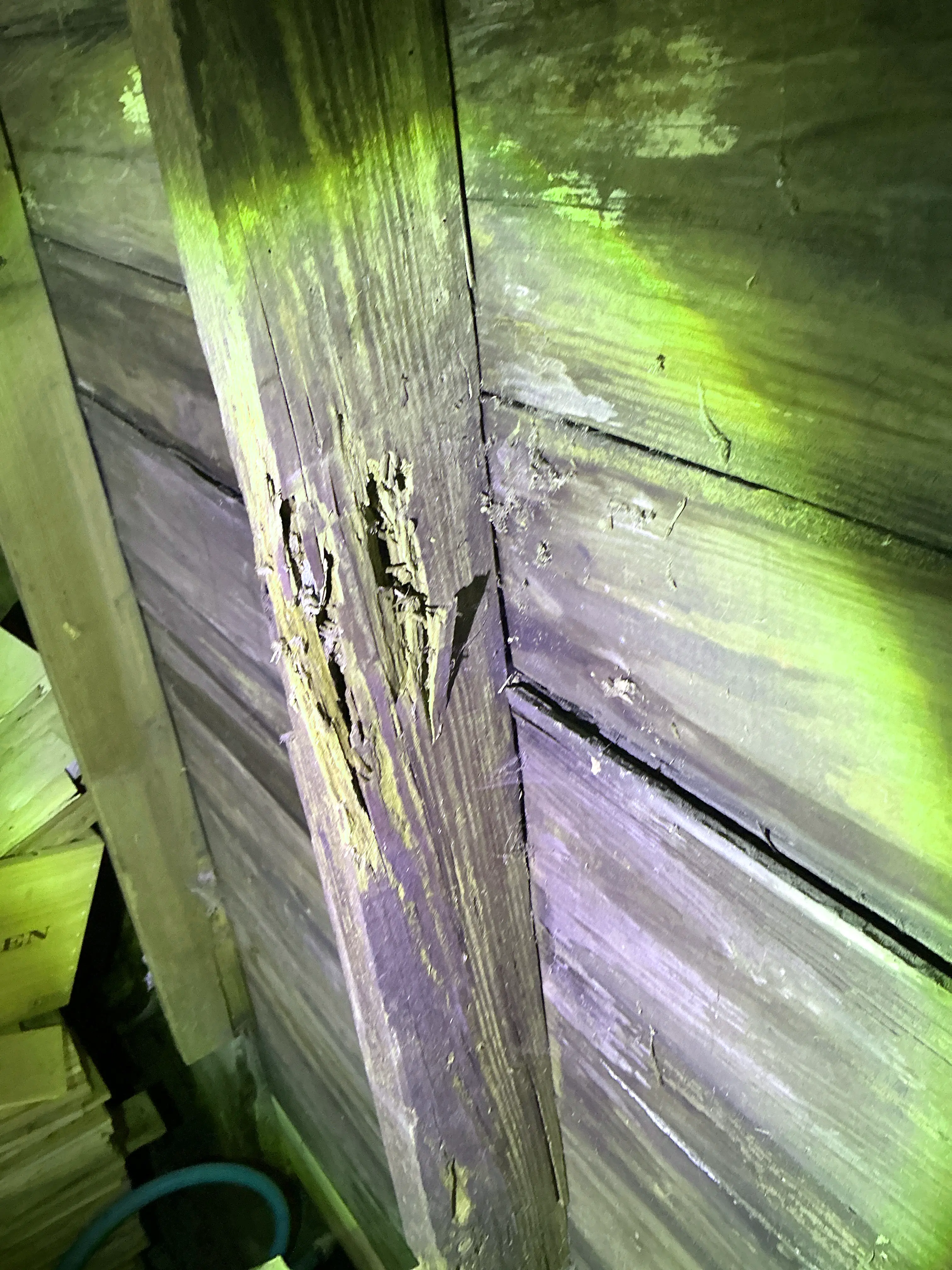Rafter with severe wood decay and damage identified during attic home inspection 2026-07-24