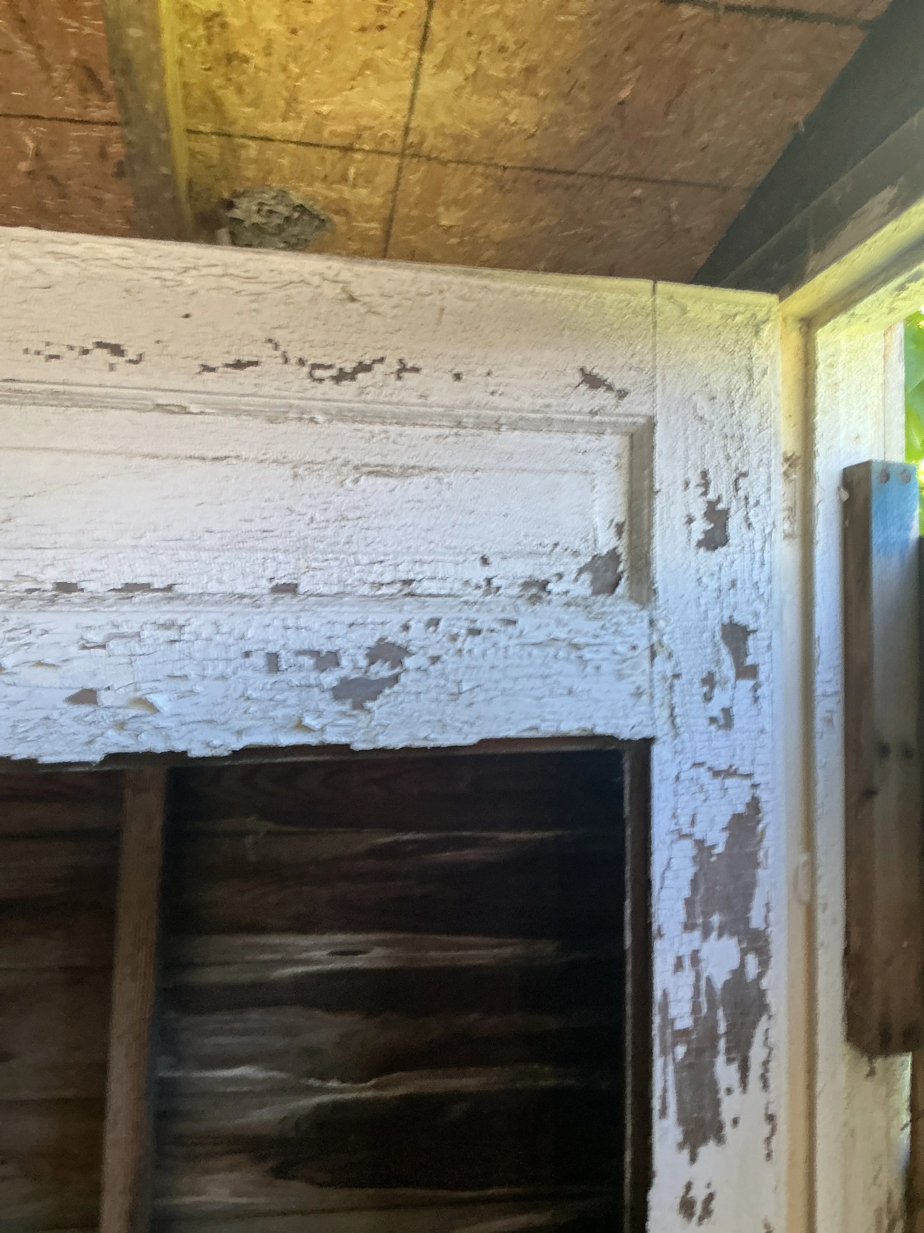 Severely peeling and flaking white paint on old wood door trim during home inspection 2026-08-20