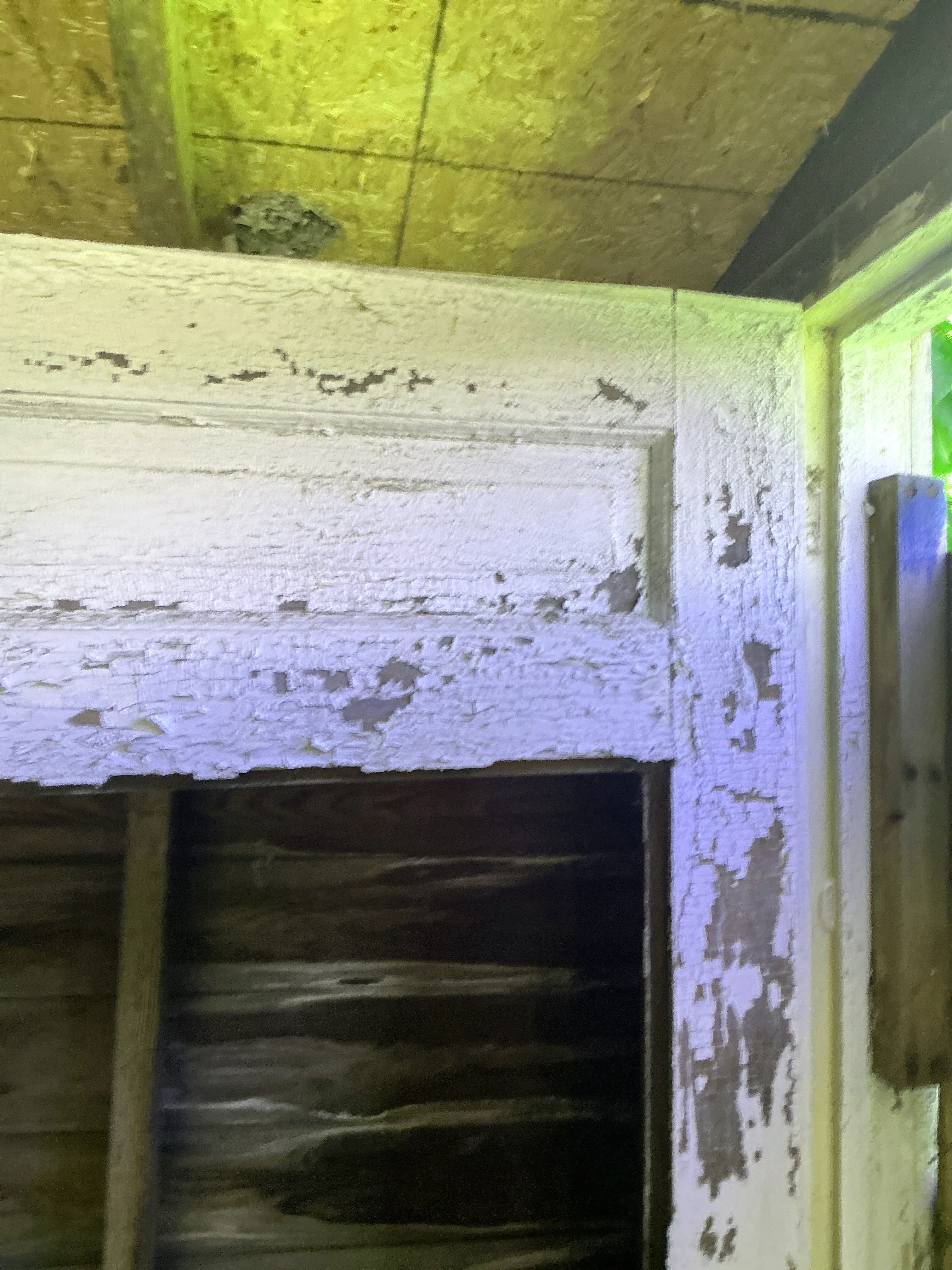 Severely peeling and flaking white paint on old wood door trim during home inspection 2026-07-25