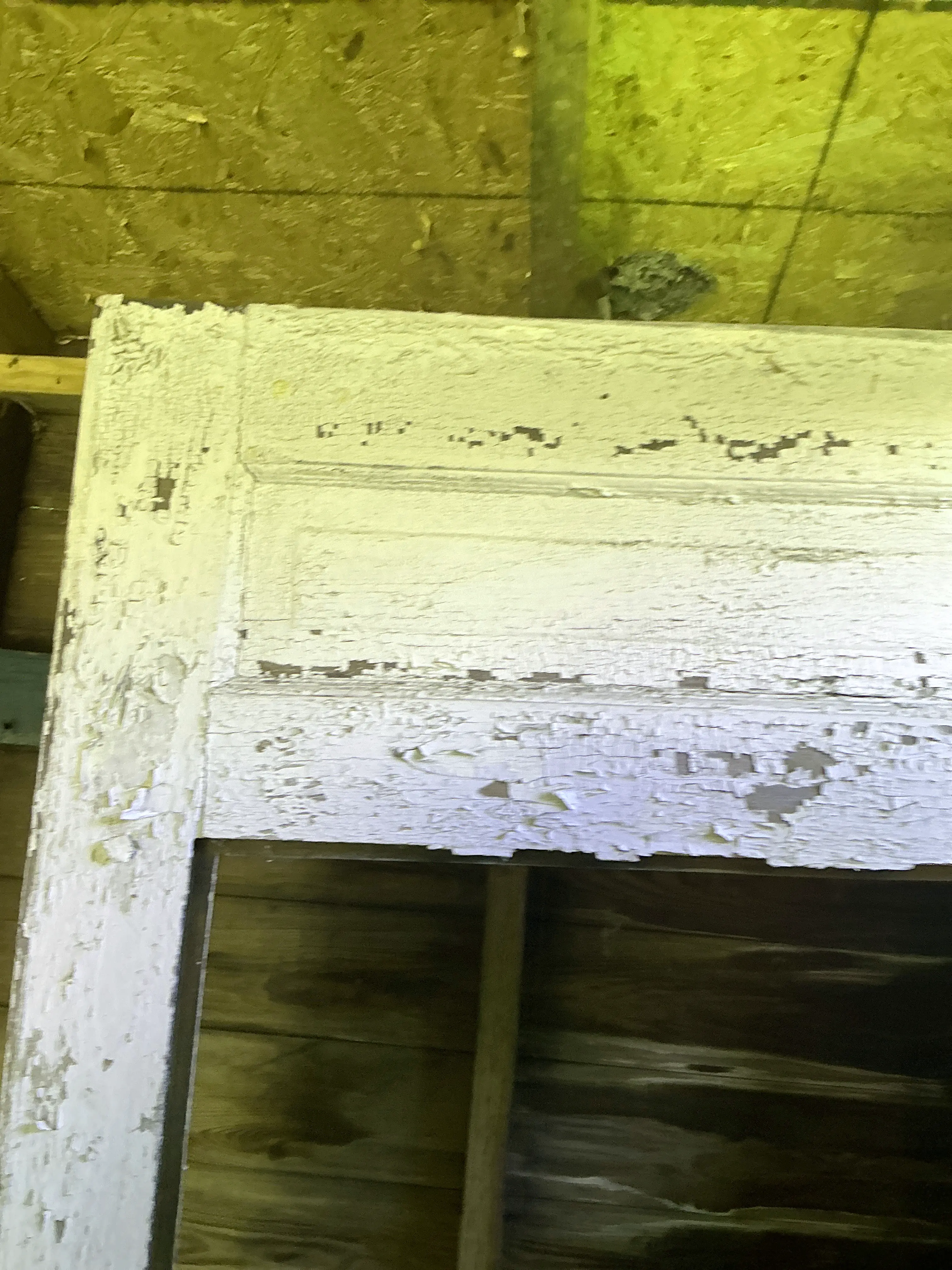 Peeling and flaking white paint on old wooden frame showing paint deterioration 2026-08-10