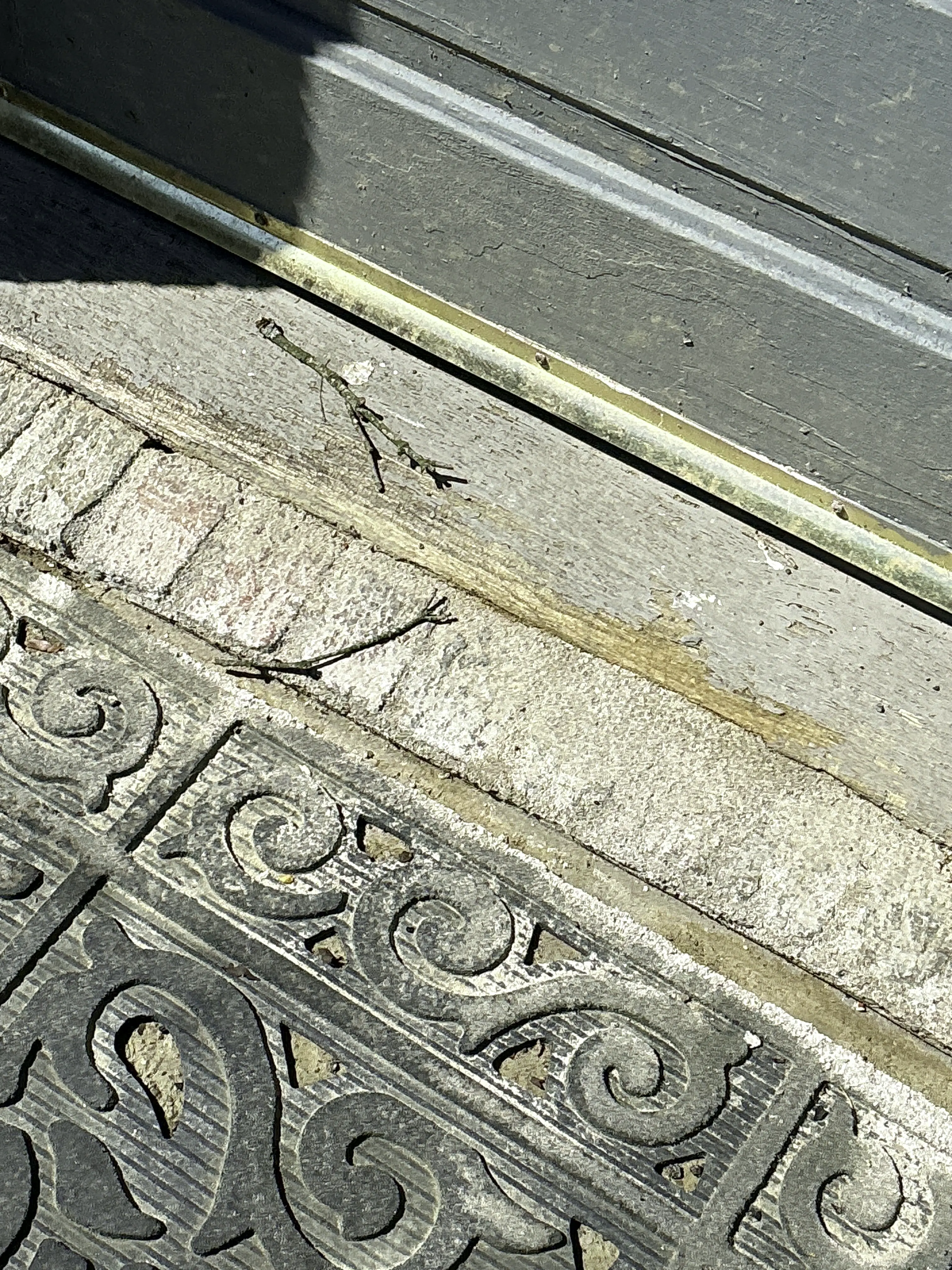 Weathered wooden door threshold with worn finish near exterior entryway 2026-07-22