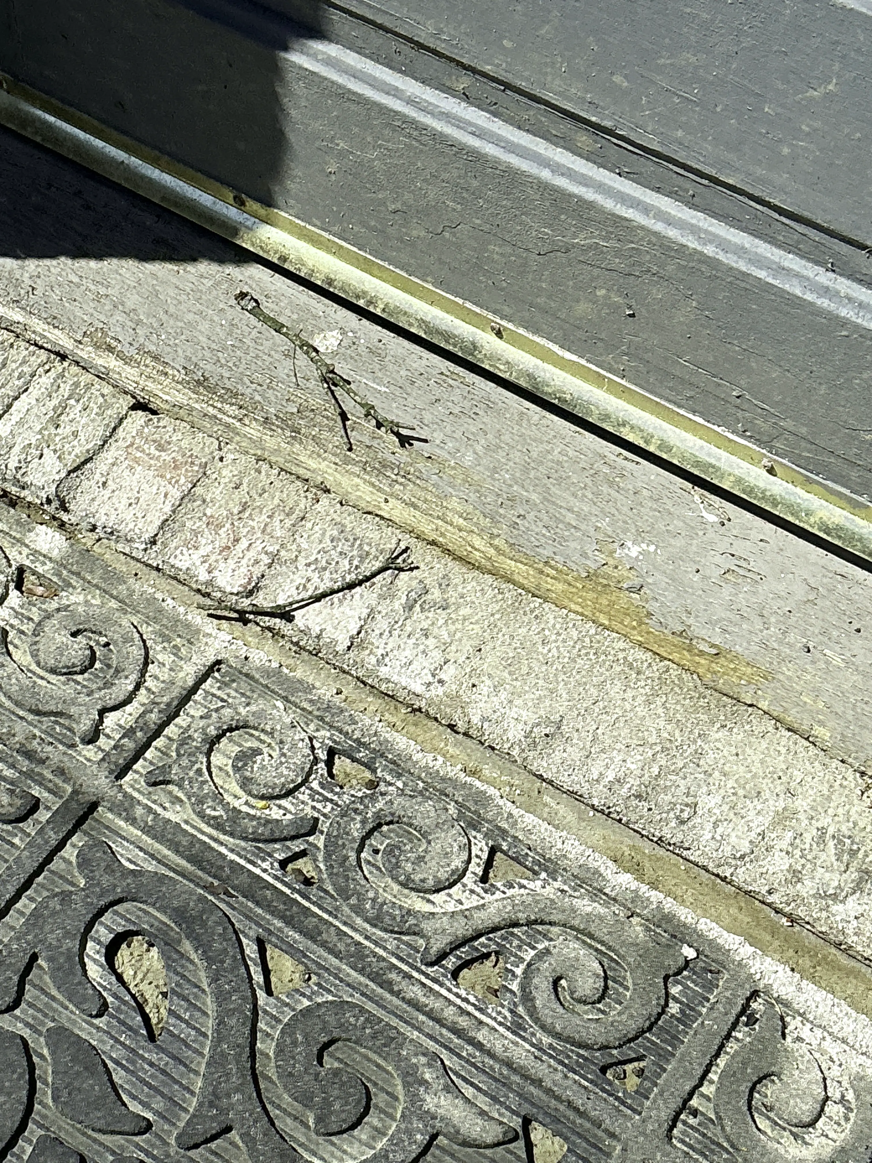 Weathered wooden door threshold with worn finish near exterior entryway 2026-07-12