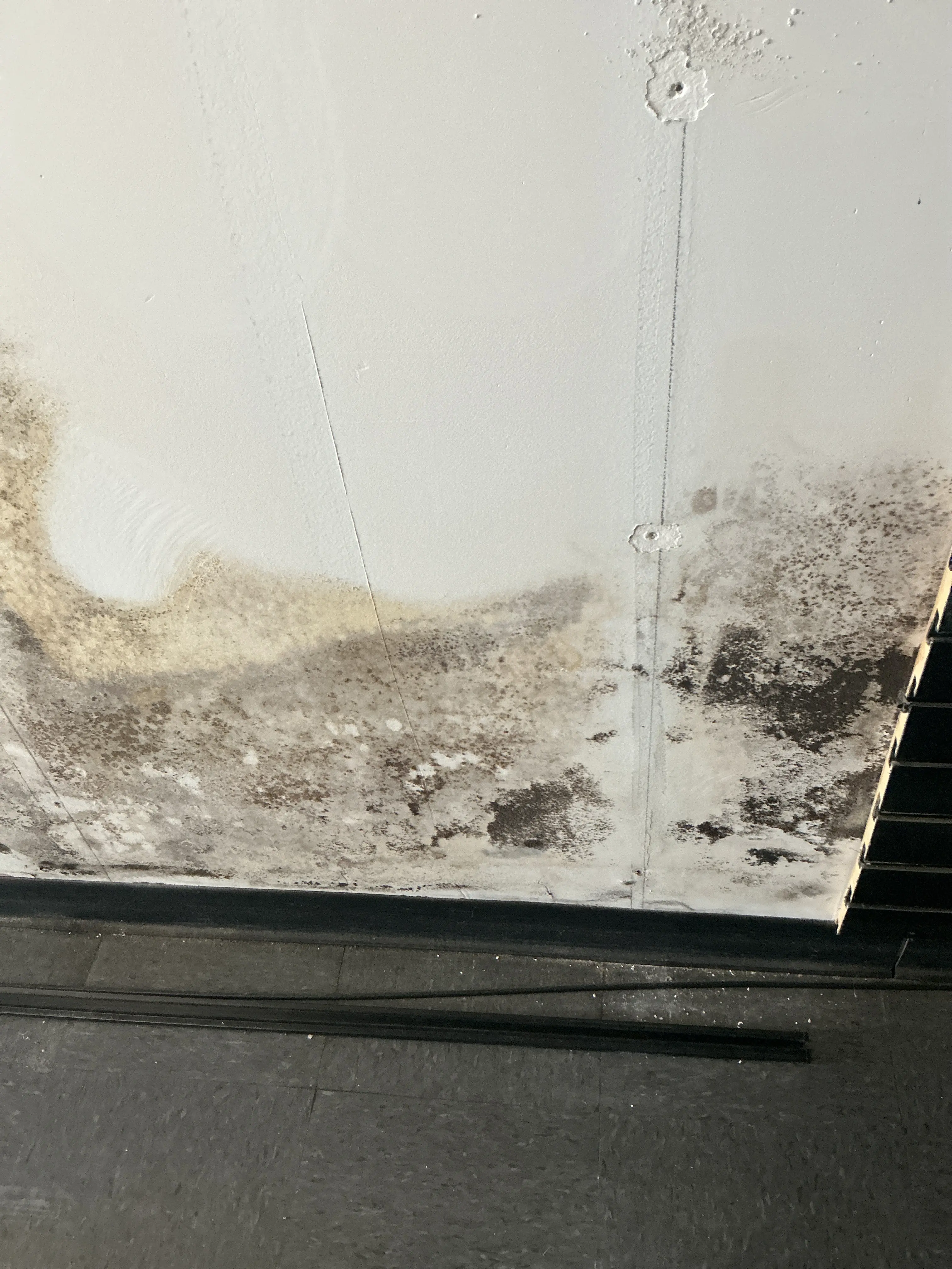 Severe black mold growth and moisture damage on wall paneling 2026-08-26