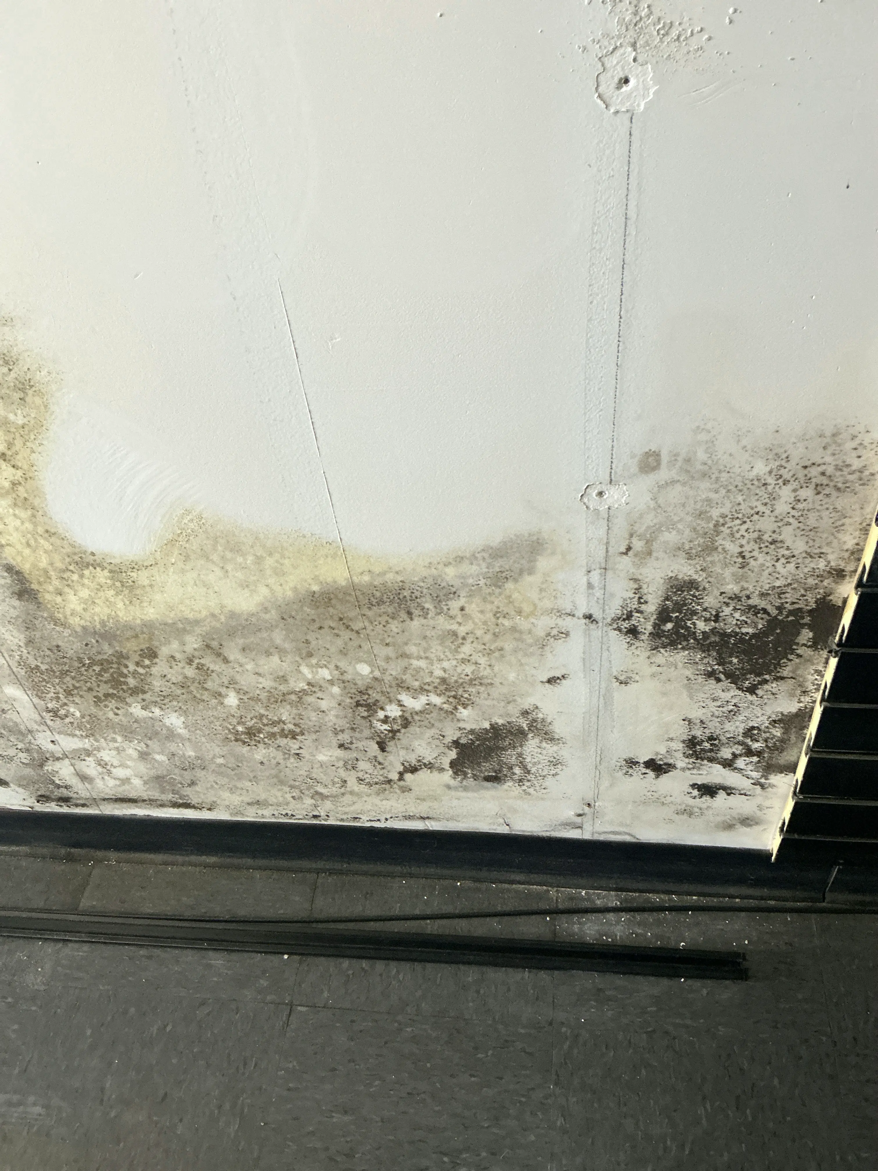 Severe black mold growth and moisture damage on wall paneling 2026-07-27