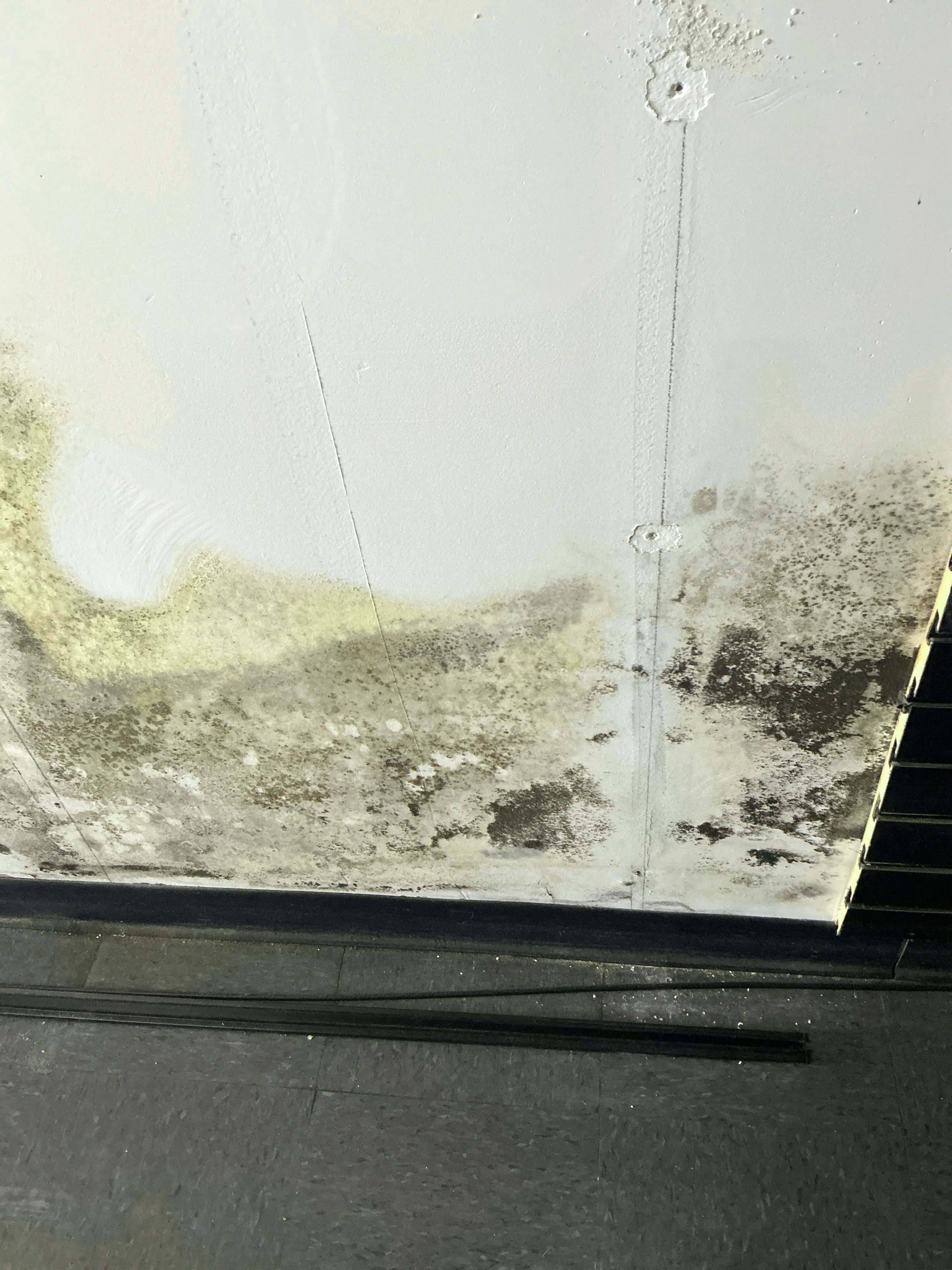 Severe black mold growth and moisture damage on wall paneling 2026-08-15