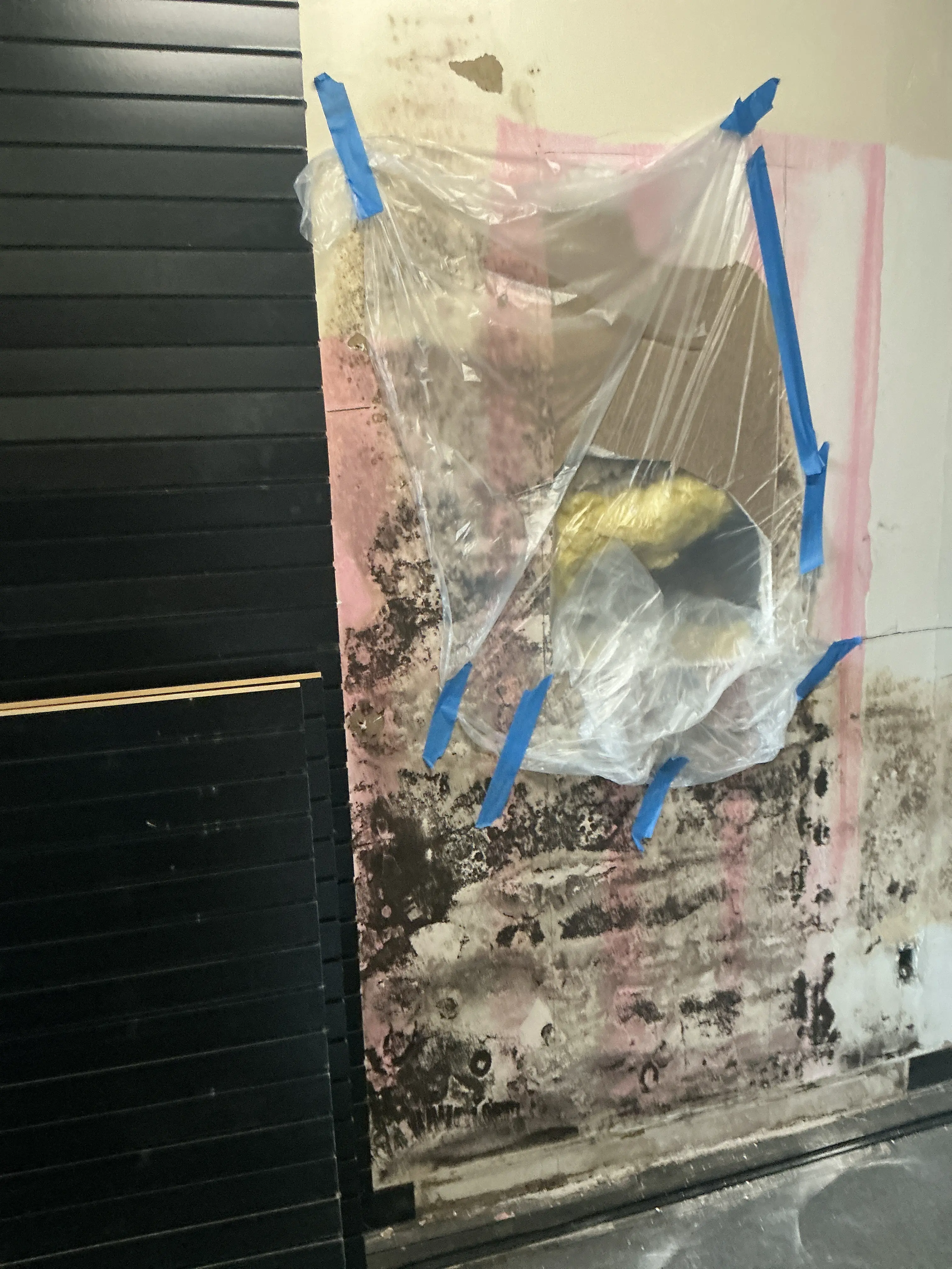 Black mold growth and moisture damage exposed on wall framing during lead inspection 2026-07-24