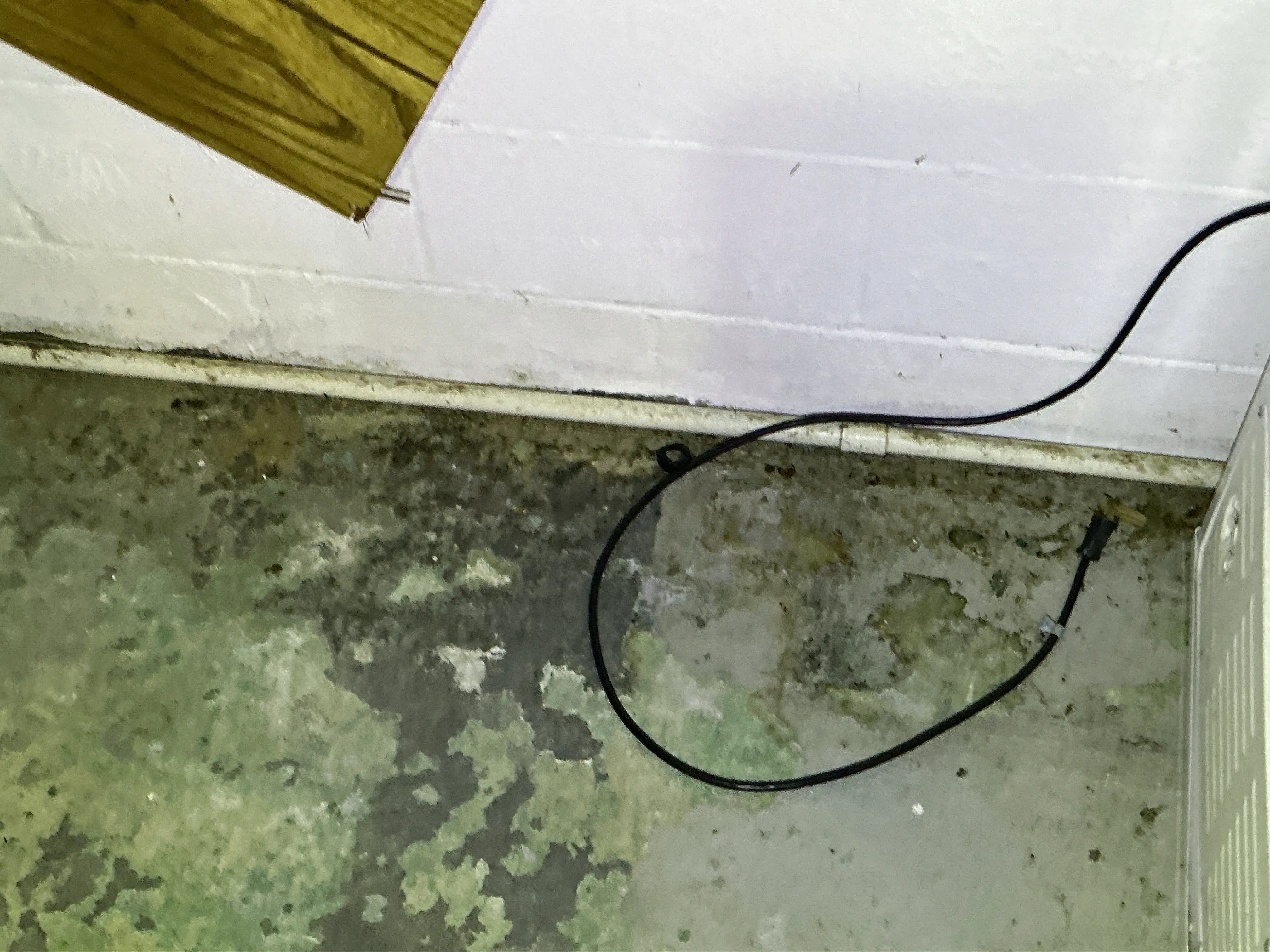Moisture damage and peeling paint on basement concrete floor during home inspection 2026-09-02