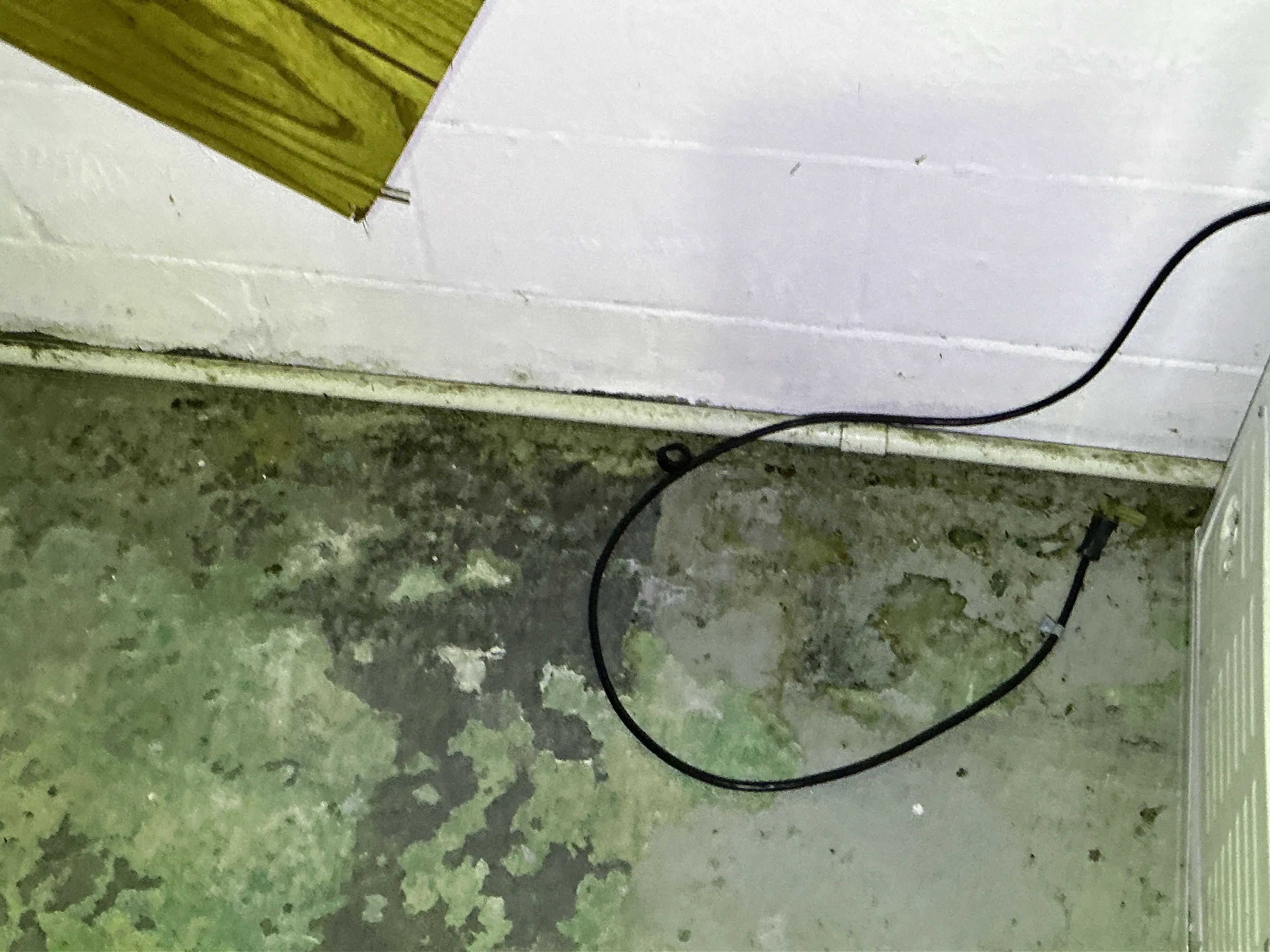 Moisture damage and peeling paint on basement concrete floor during home inspection 2026-08-15